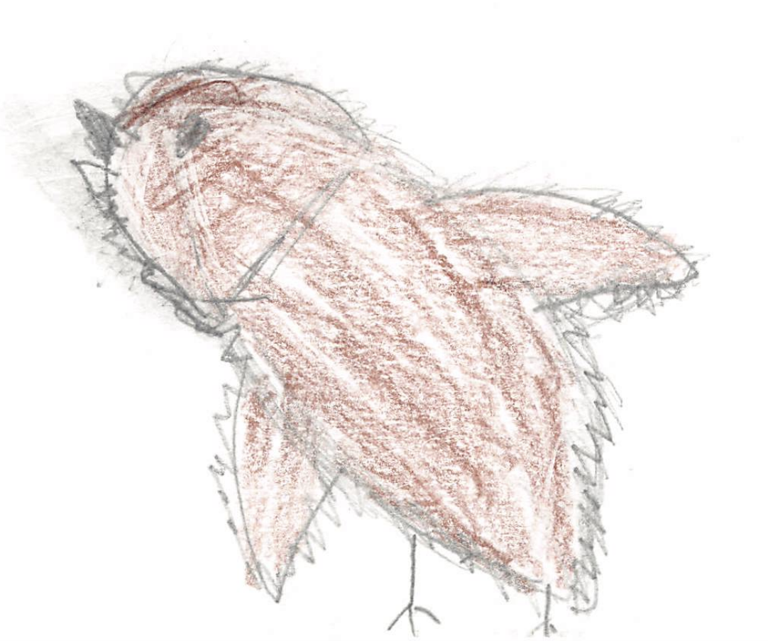 Screenshot 2026-02-22 at 10.04.36 PM.png