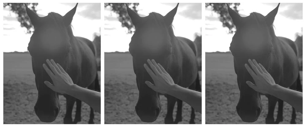 陈一丁 60x25 _1.jpg