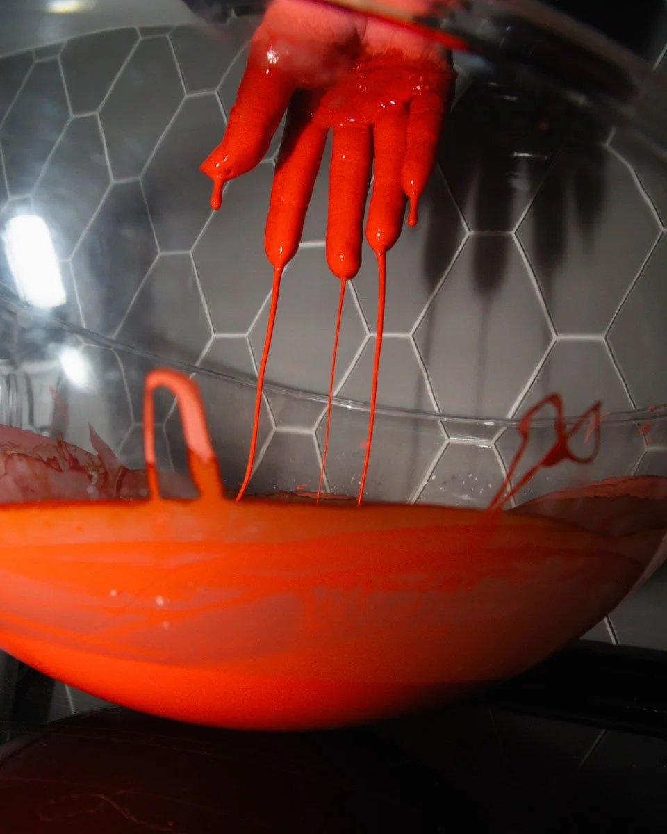 Project 1 - Illness As Metaphor (4).jpg