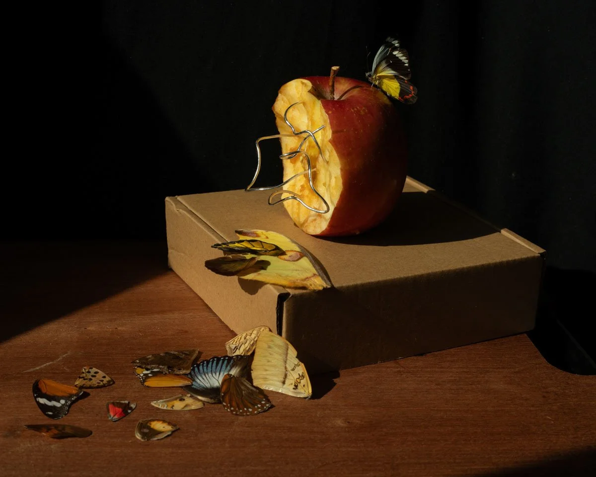 Project 1 - Illness As Metaphor (1).jpg