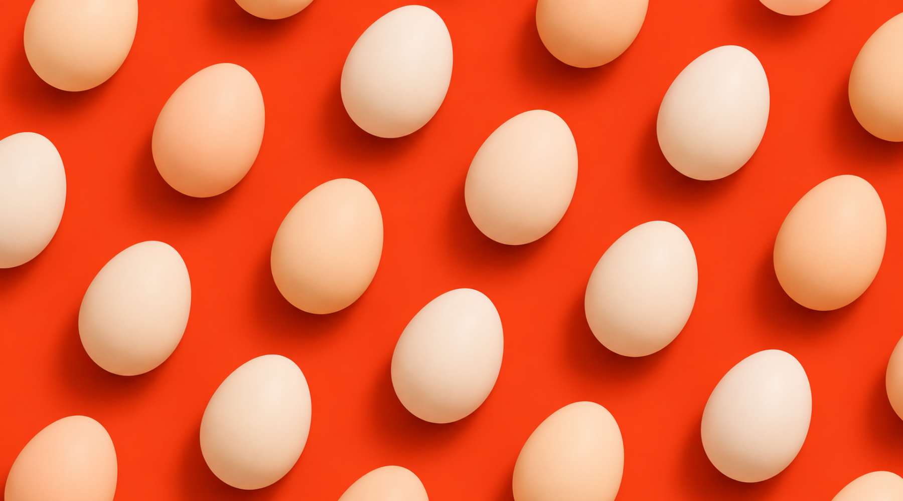 What 12 eggs can teach us about marketing