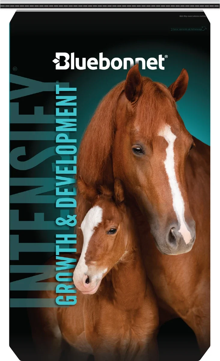 horse feed for a nursing mare.webp