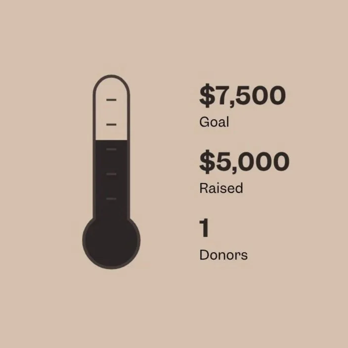fundraising-thermometer-2x+%281%29.jpg