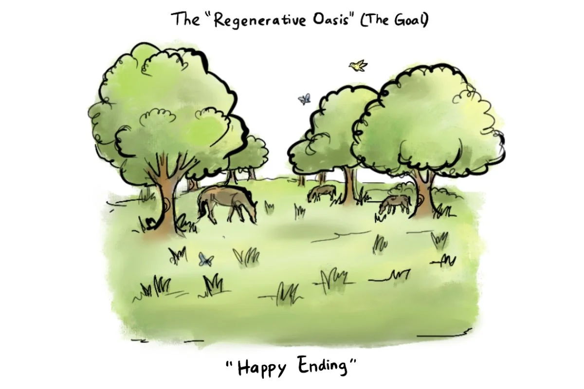 An illustration of the Regenerative Oasis of Karma Ranch Montana showing horses grazing in a lush, green pasture with healthy trees, birds, and butterflies.