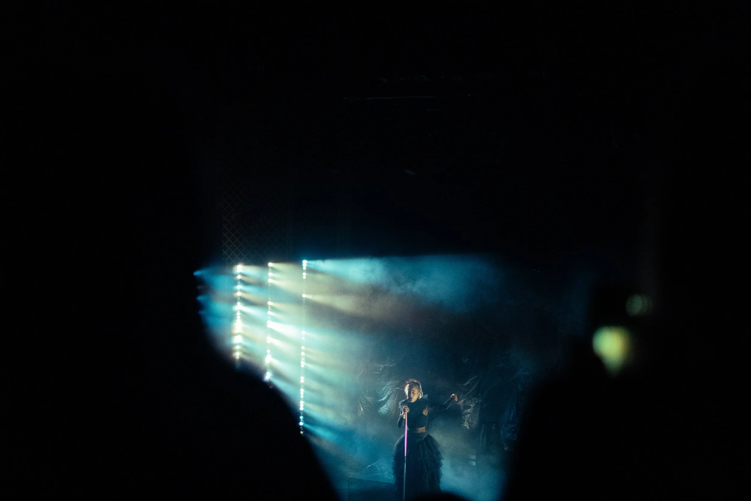 DSC03778.jpg