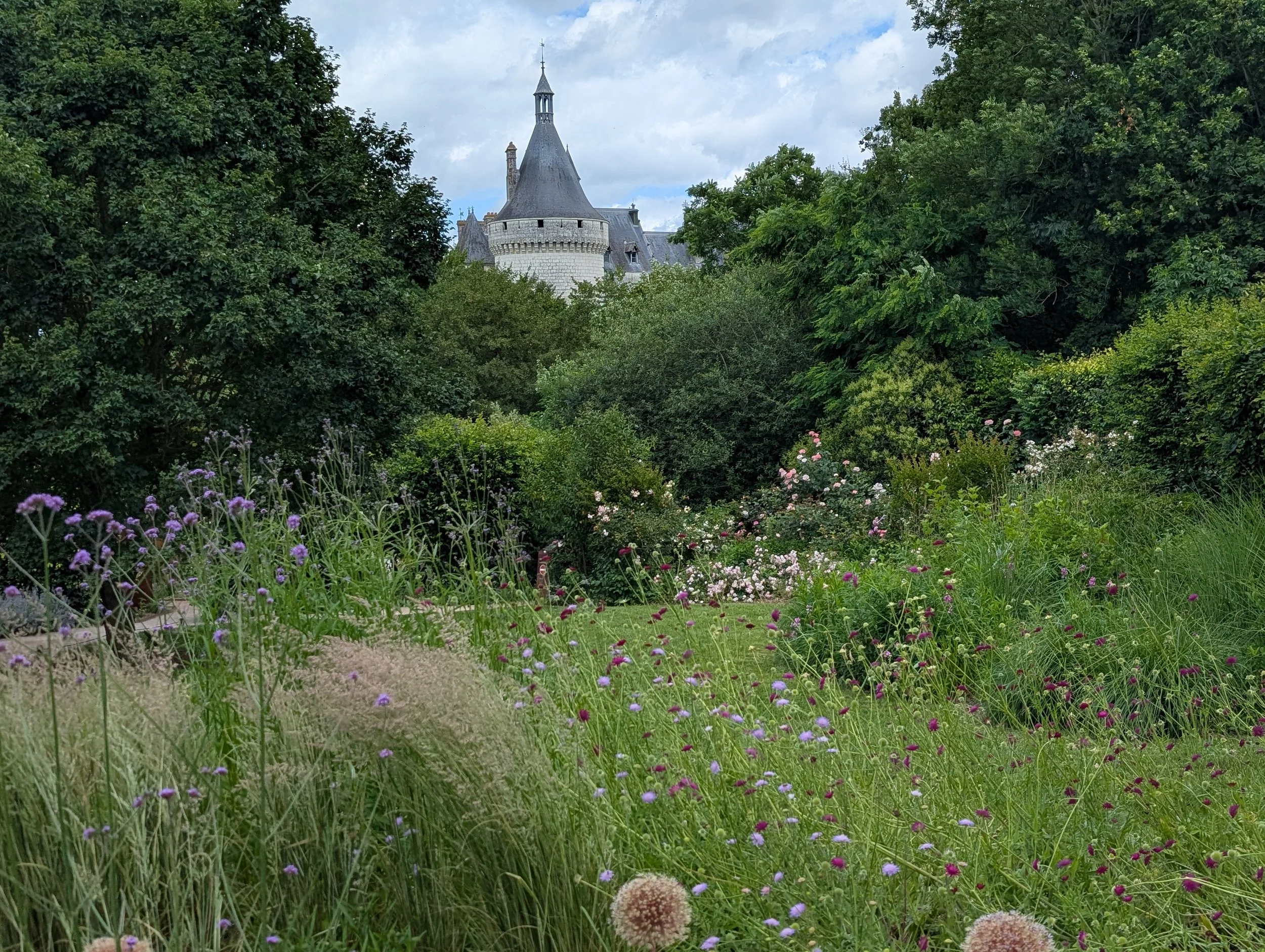Chateau d'Usse