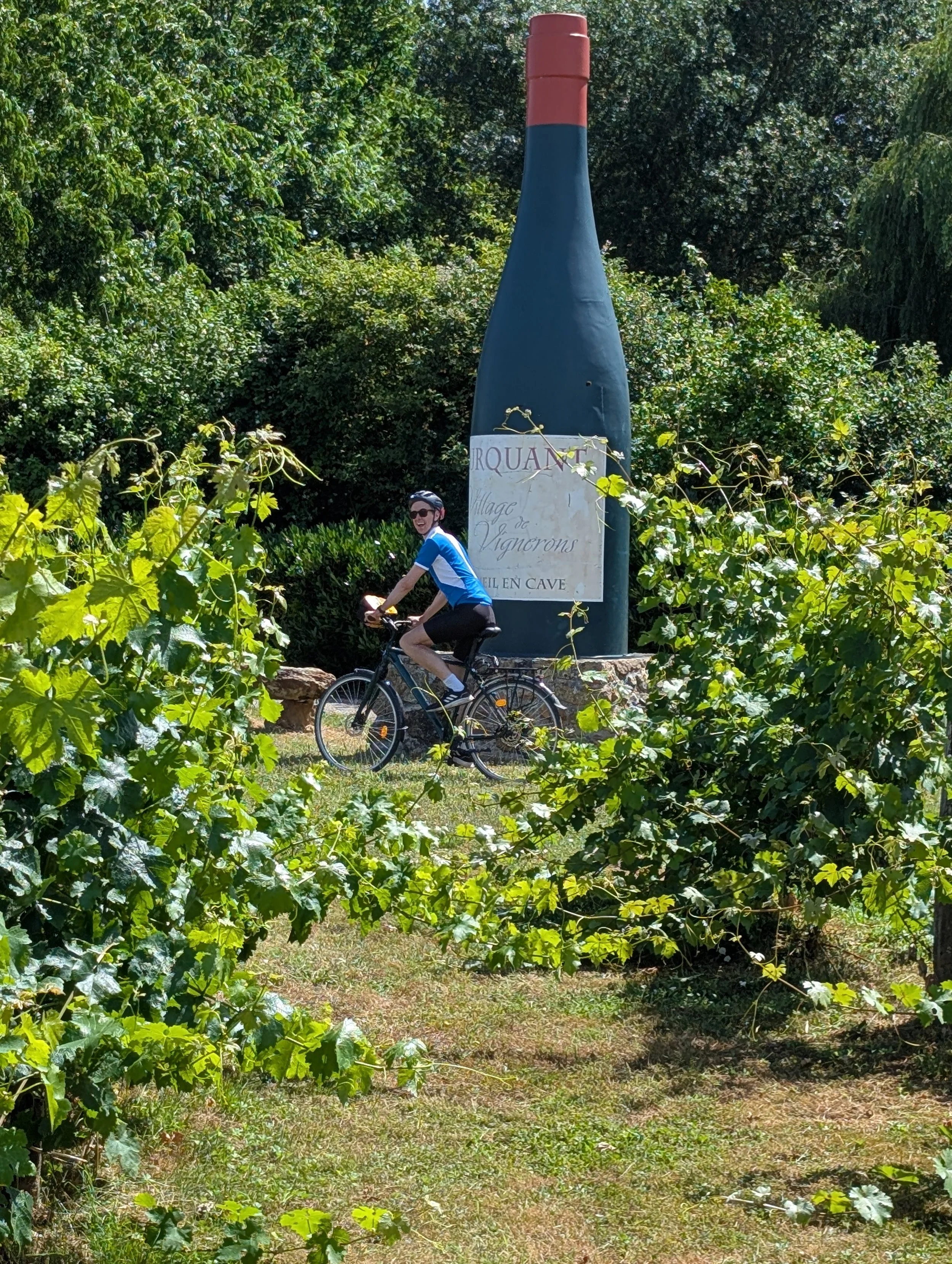 Wine country!