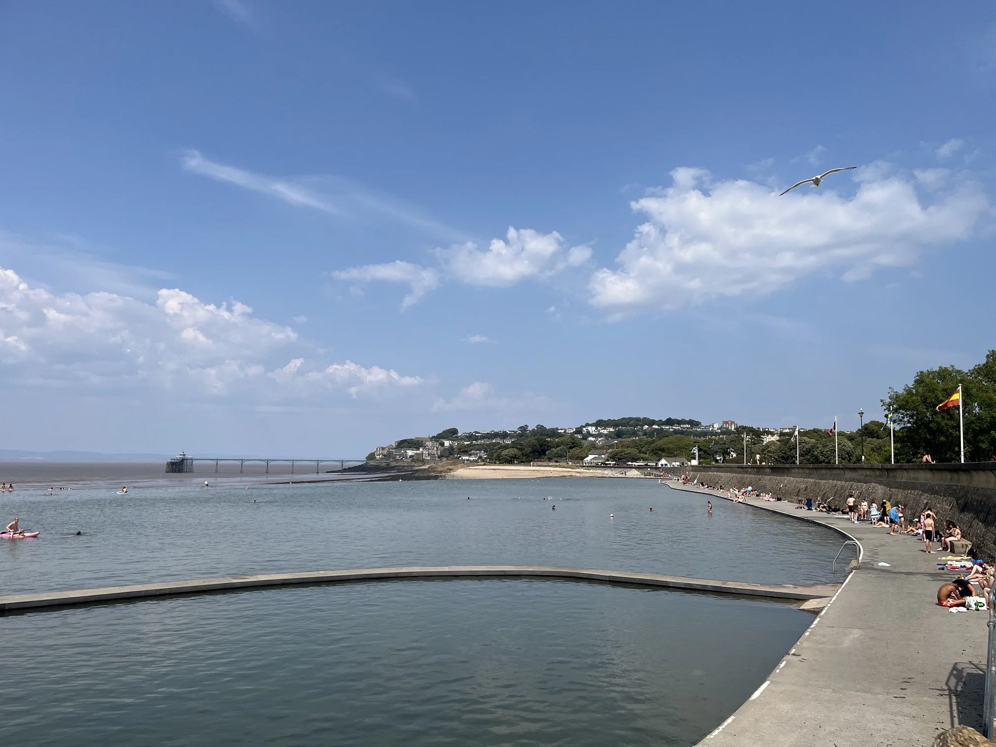 IMG_1196.jpeg
