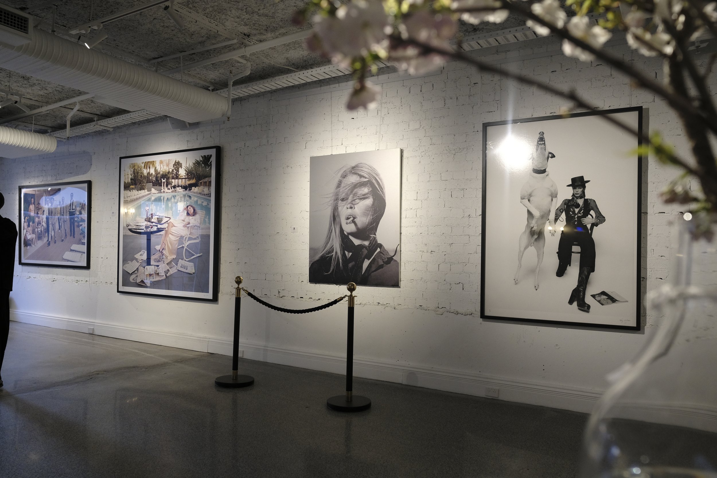 An image of the Cultural Center.