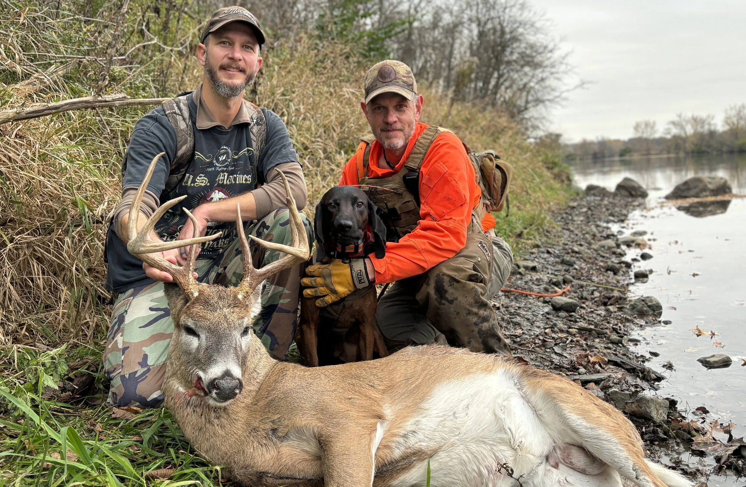 successful deer recovery using trained tracking dog along river