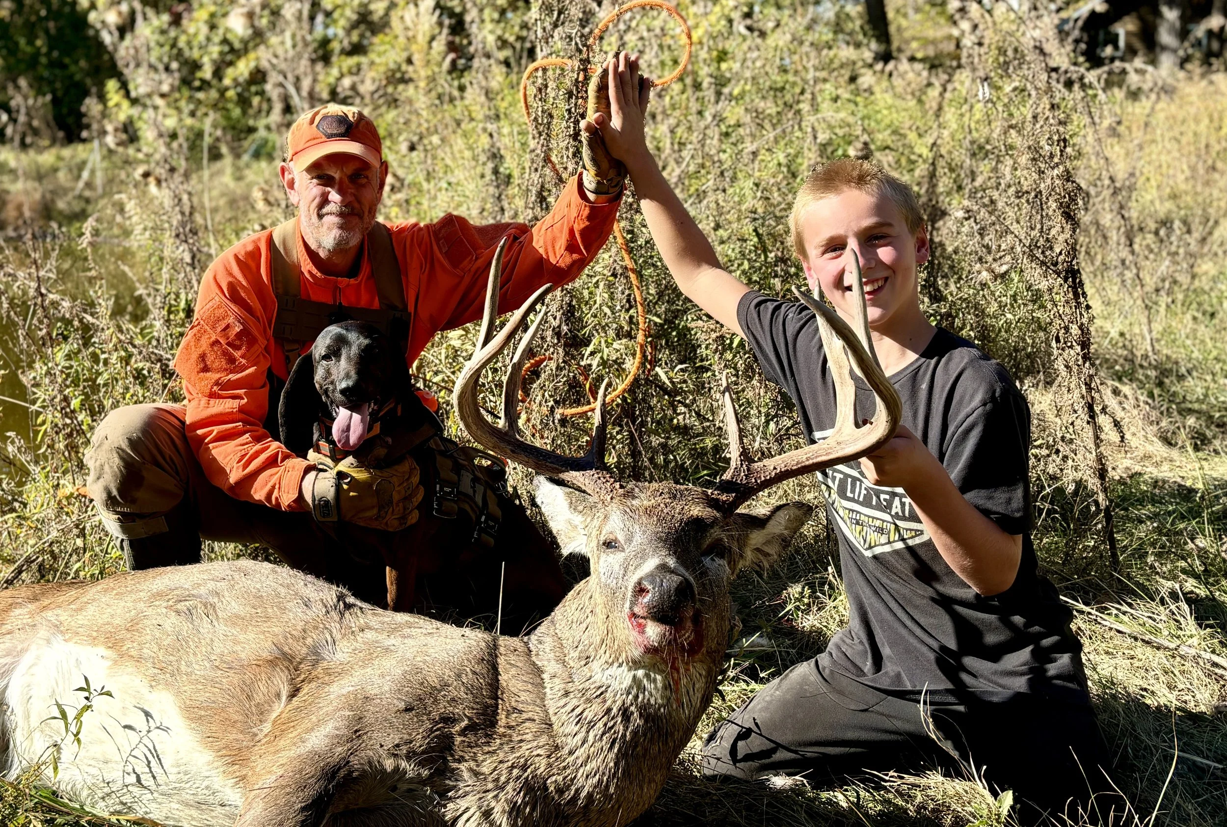 blood tracking dog assisting in wounded deer recovery for youth hunter 