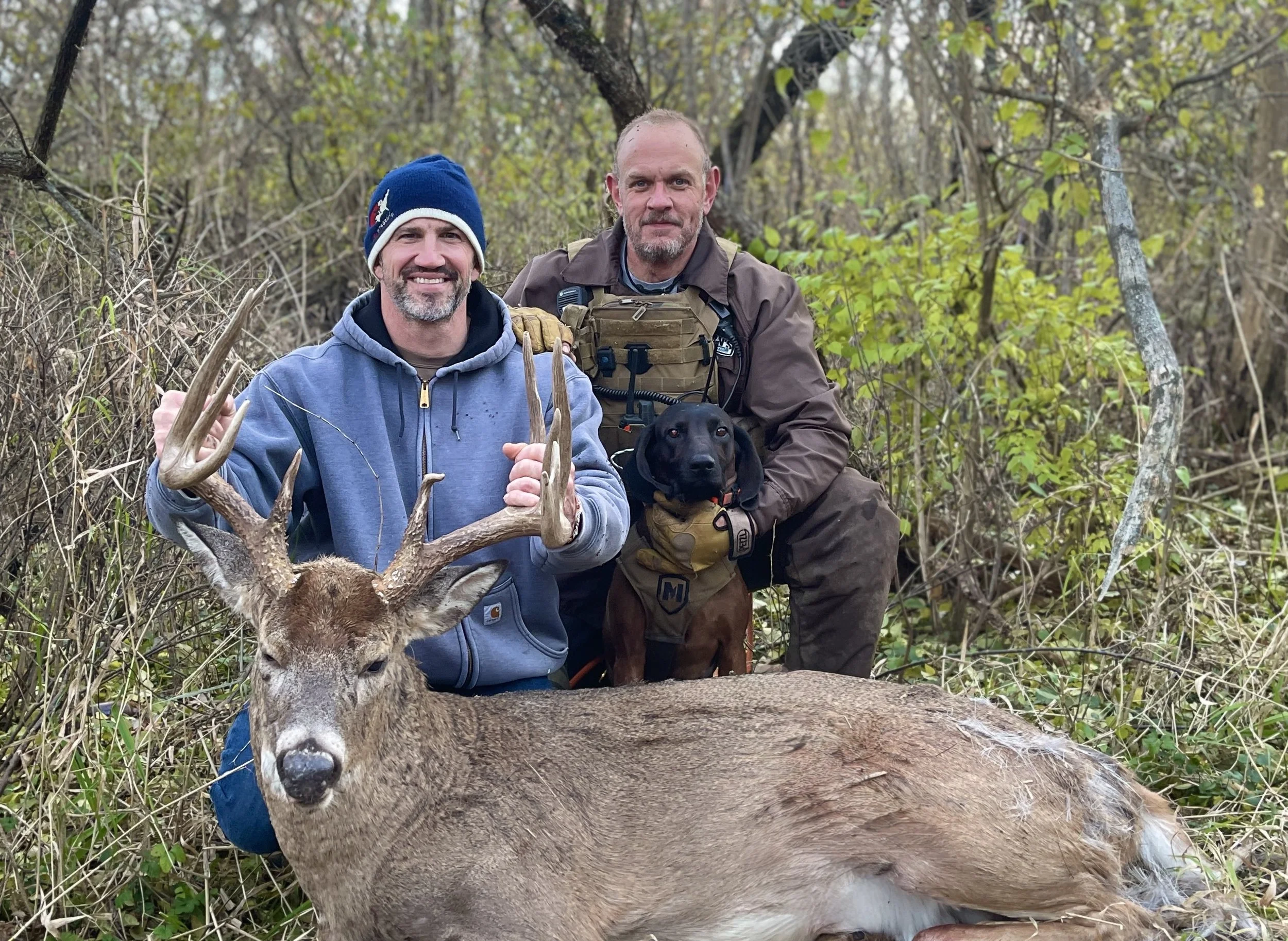 recovered whitetail deer using blood tracking dog
