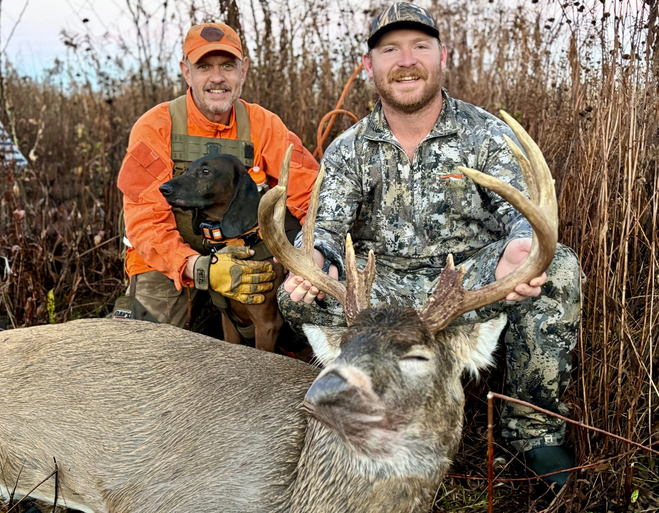 blood tracking dog with hunter with recovered whitetail deer