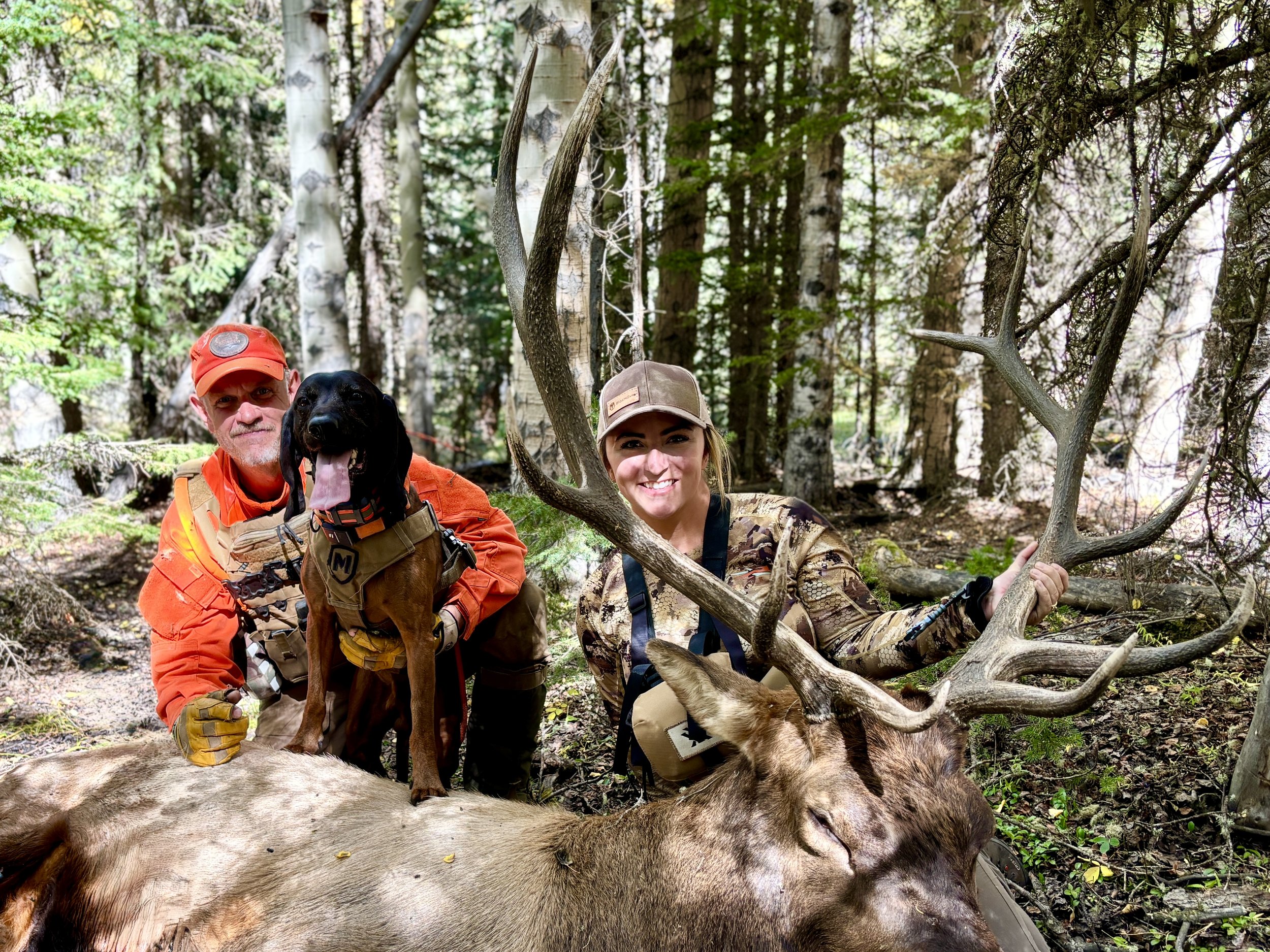 blood tracking dog with hunter after successful elk recovery in Wyoming mountains