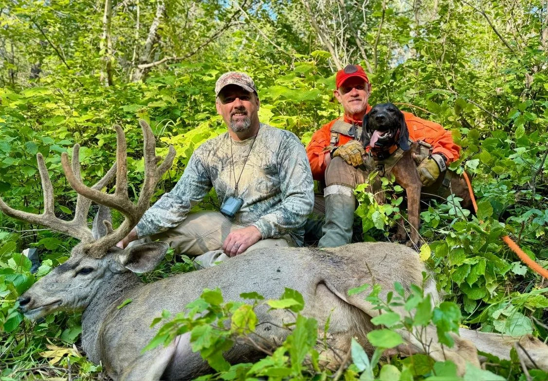 tracking dog and hunter with recovered mule deer in wyoming