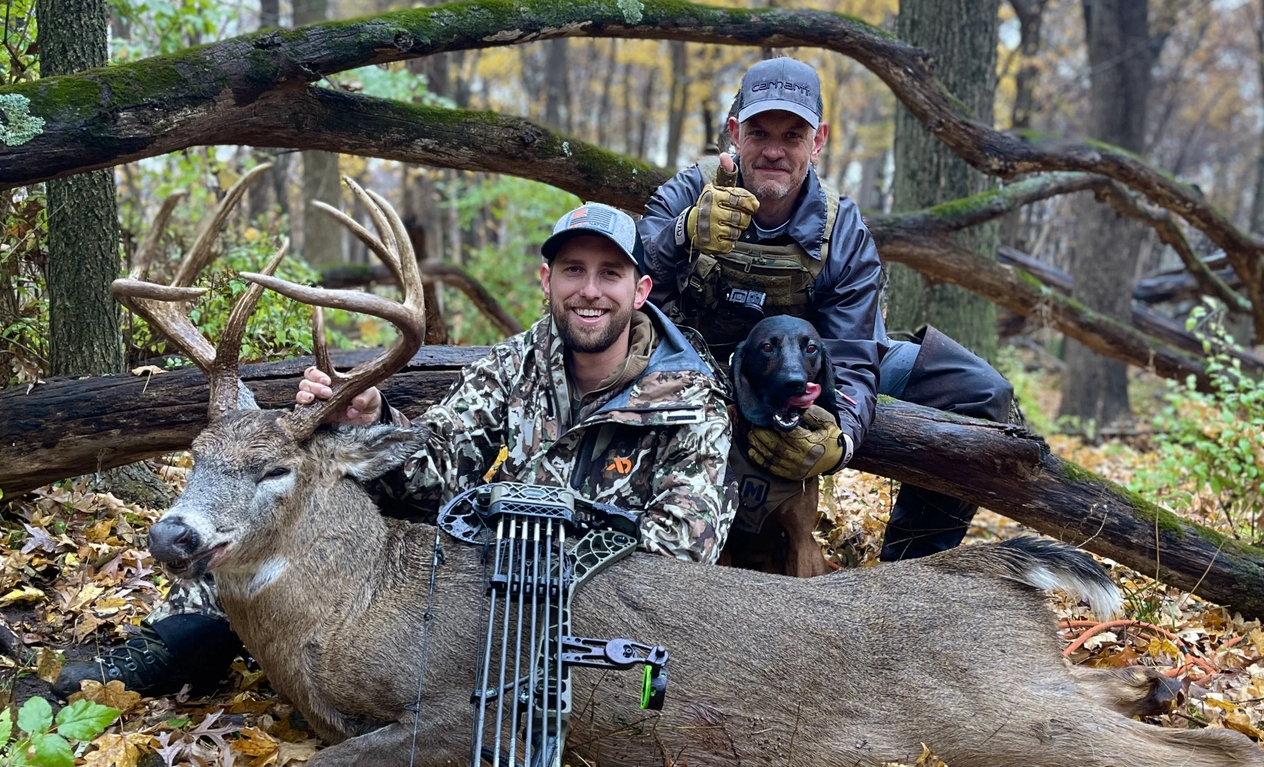 successful deer recovery using trained tracking dog in the rain for archery hunter