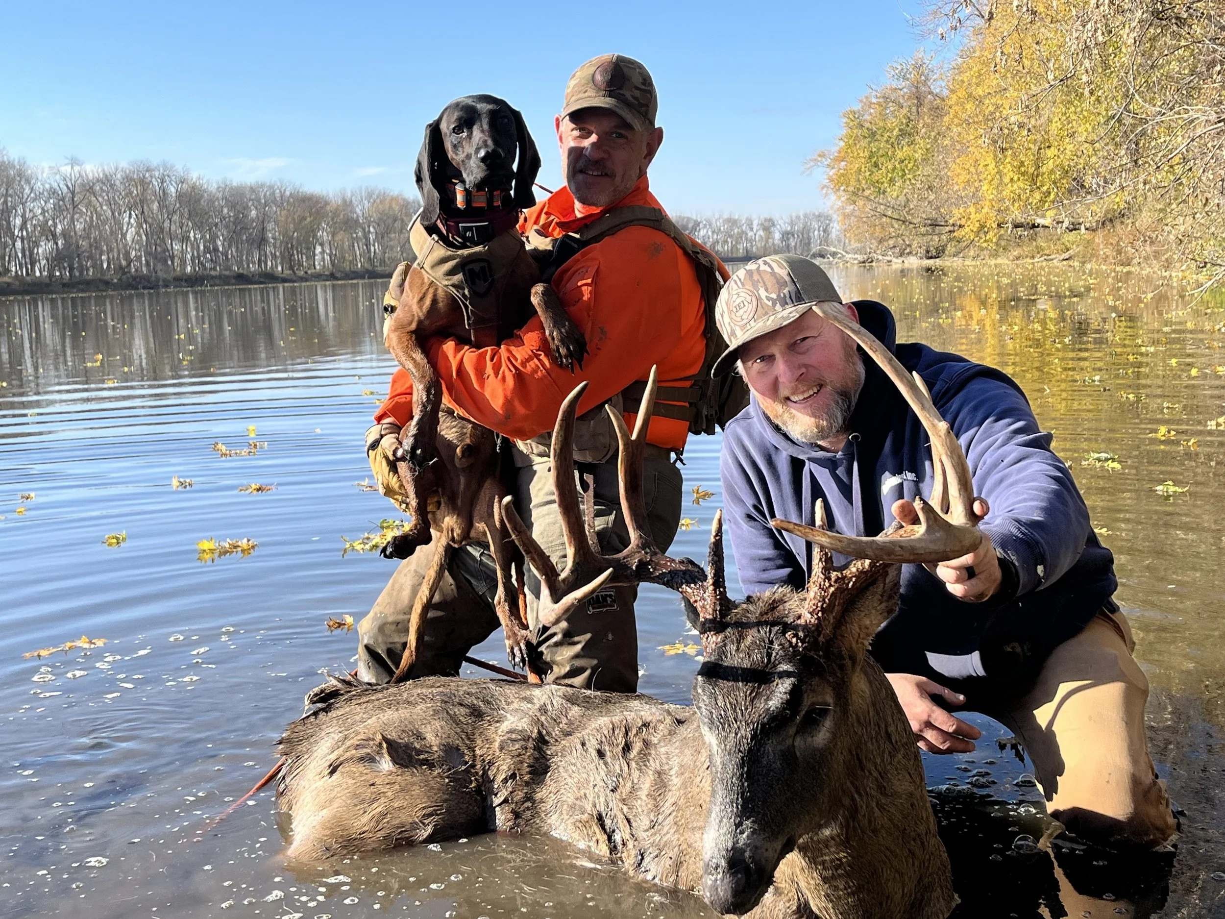 tracking dog and hunter with recovered white-tailed deer in river