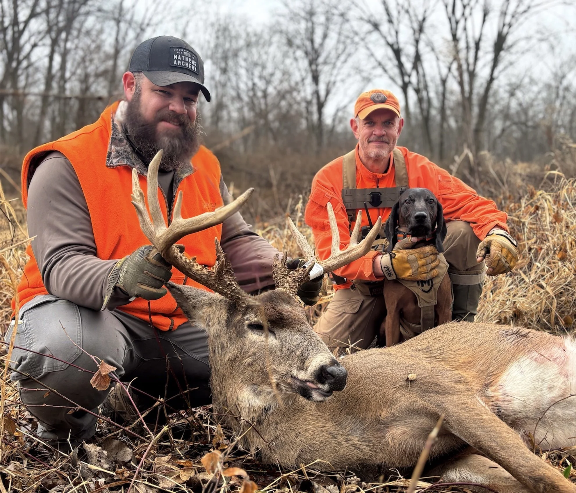 successful deer recovery using trained tracking dog