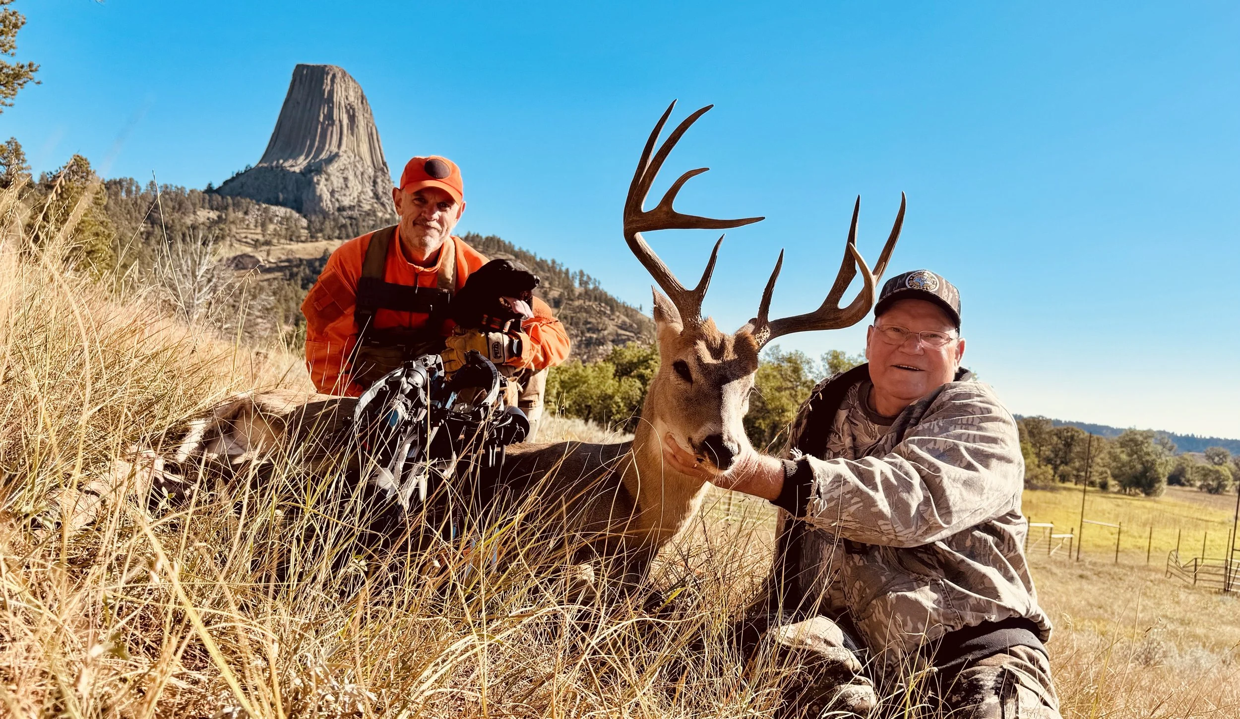 successful deer recovery using a trained blood tracking dog in wyoming devils tower
