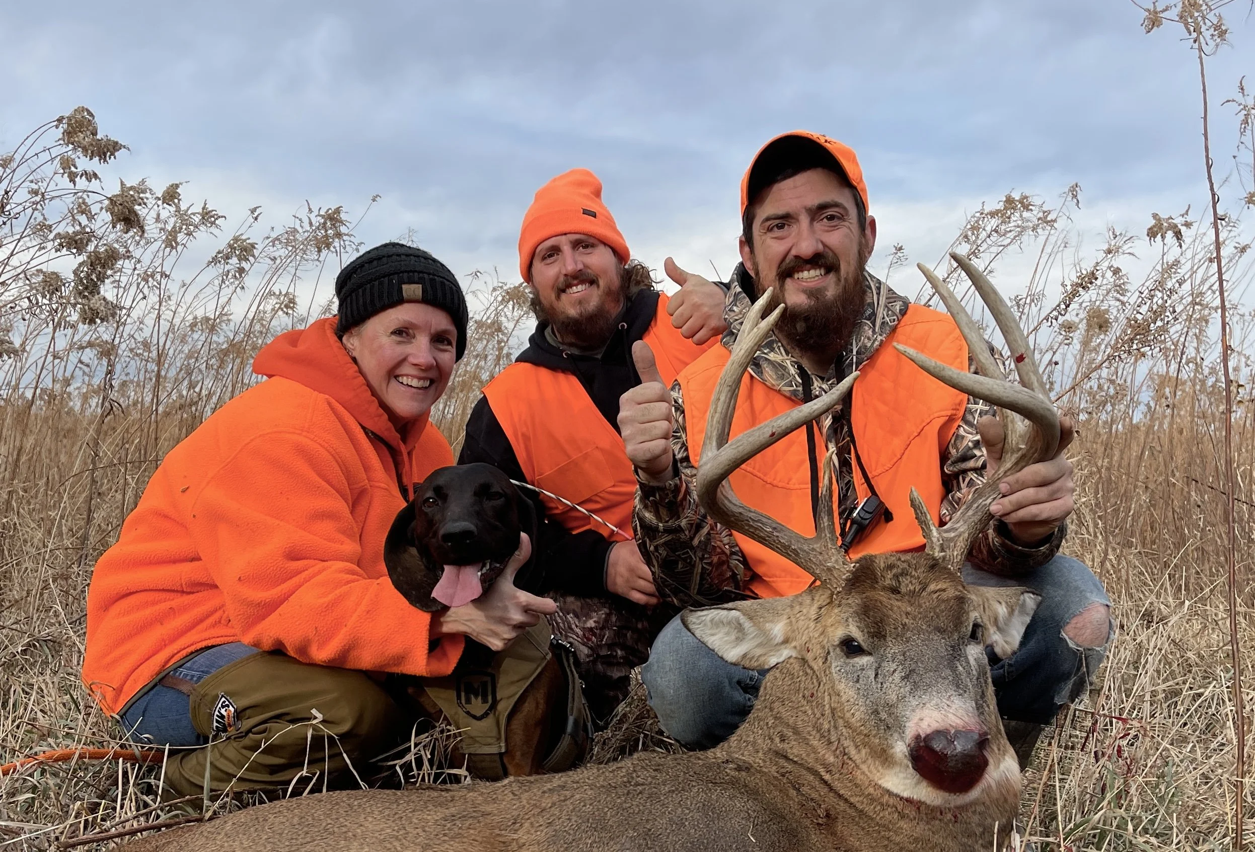 successful deer recovery using a trained tracking dog 