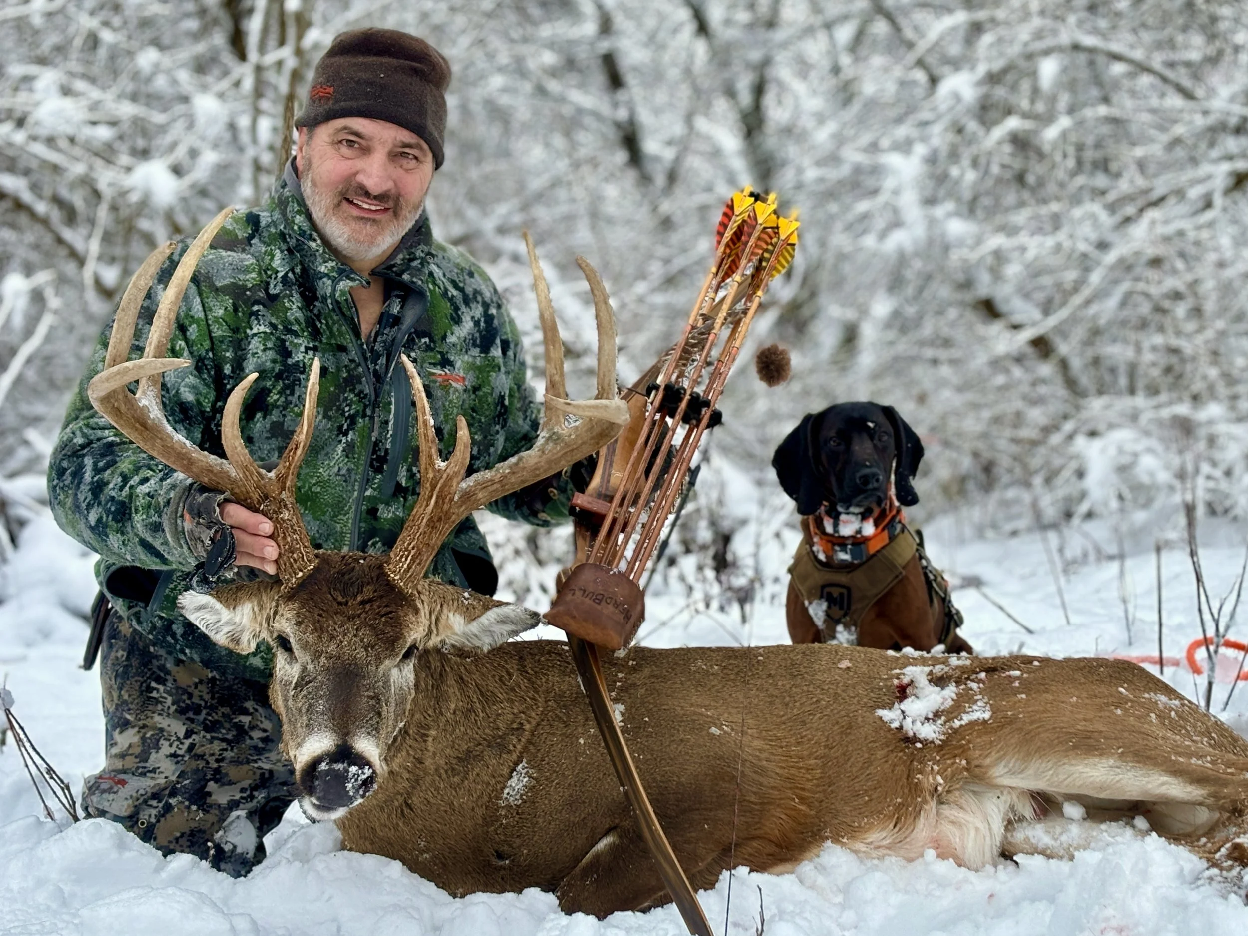 tracking dog and hunter with recovered white-tailed deer in deep snow