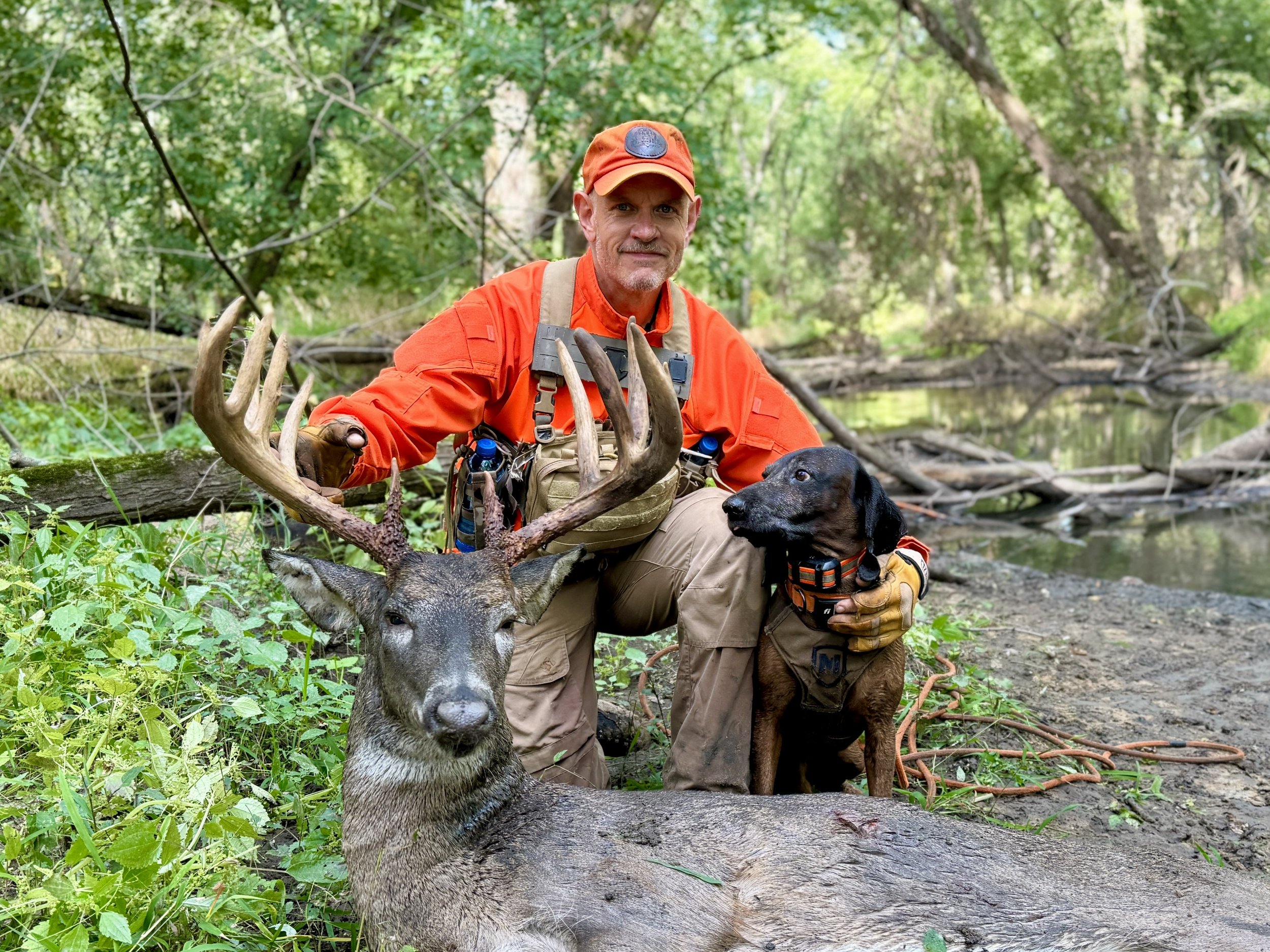 successful deer recovery using a trained blood tracking dog in creek
