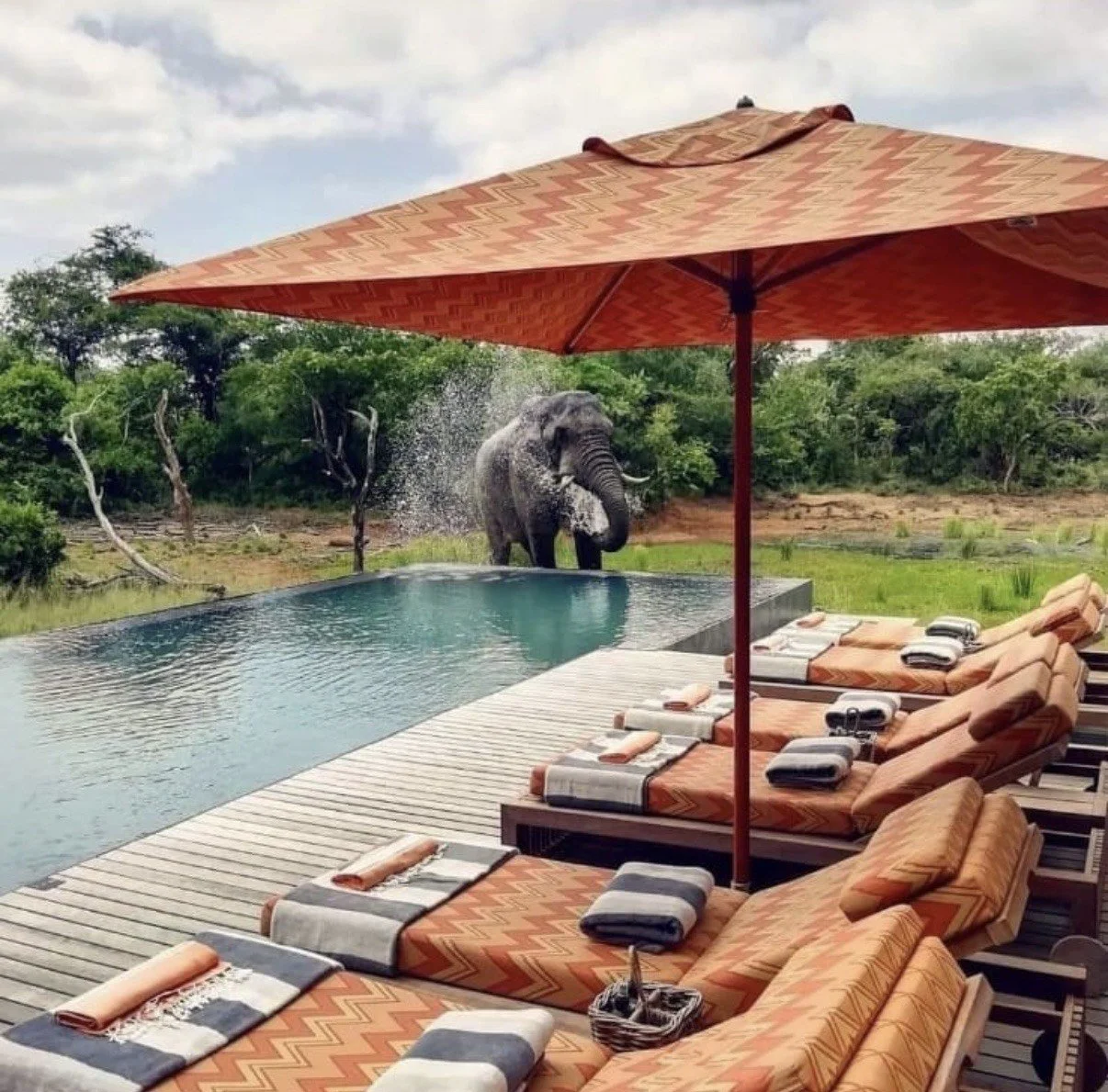 Swimming pool pvc renolit waterproofing and protective coating application by Prime Surfaces at lodge