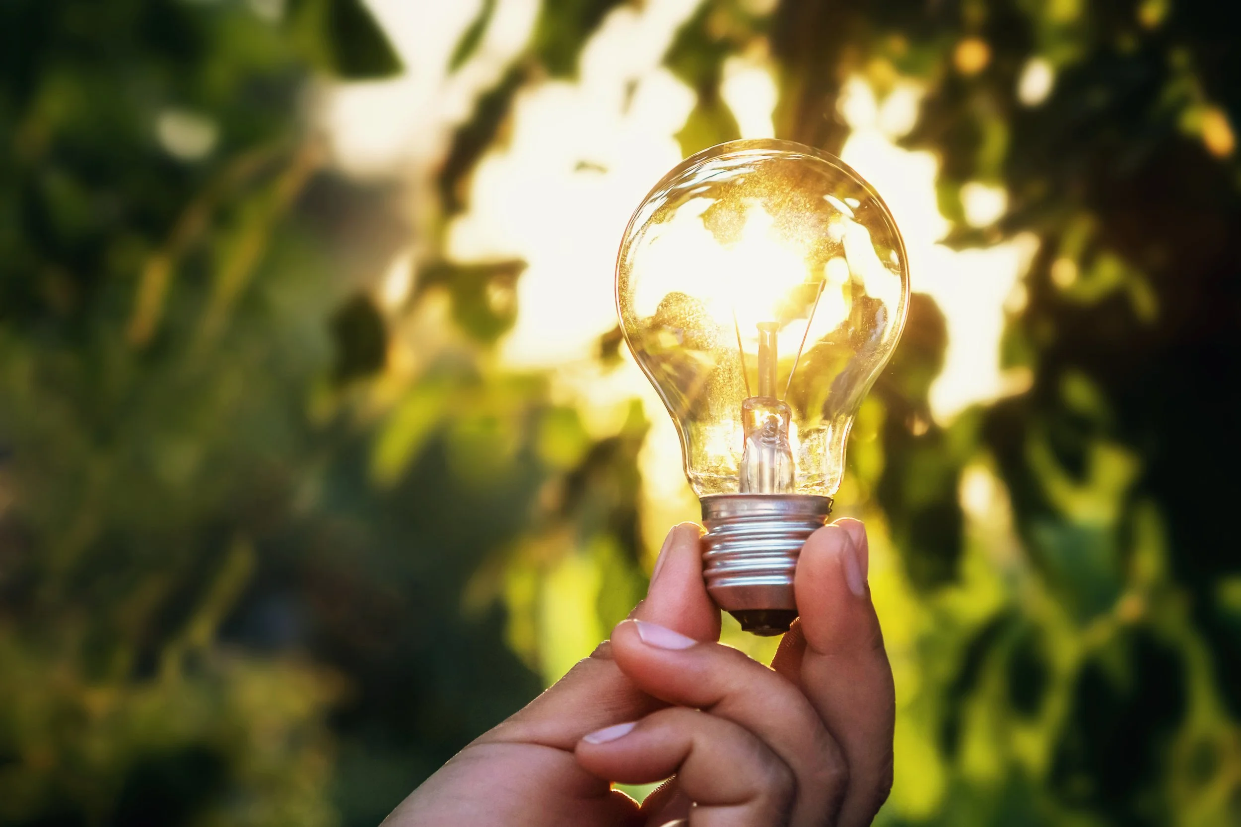 Programa INNOVAE 