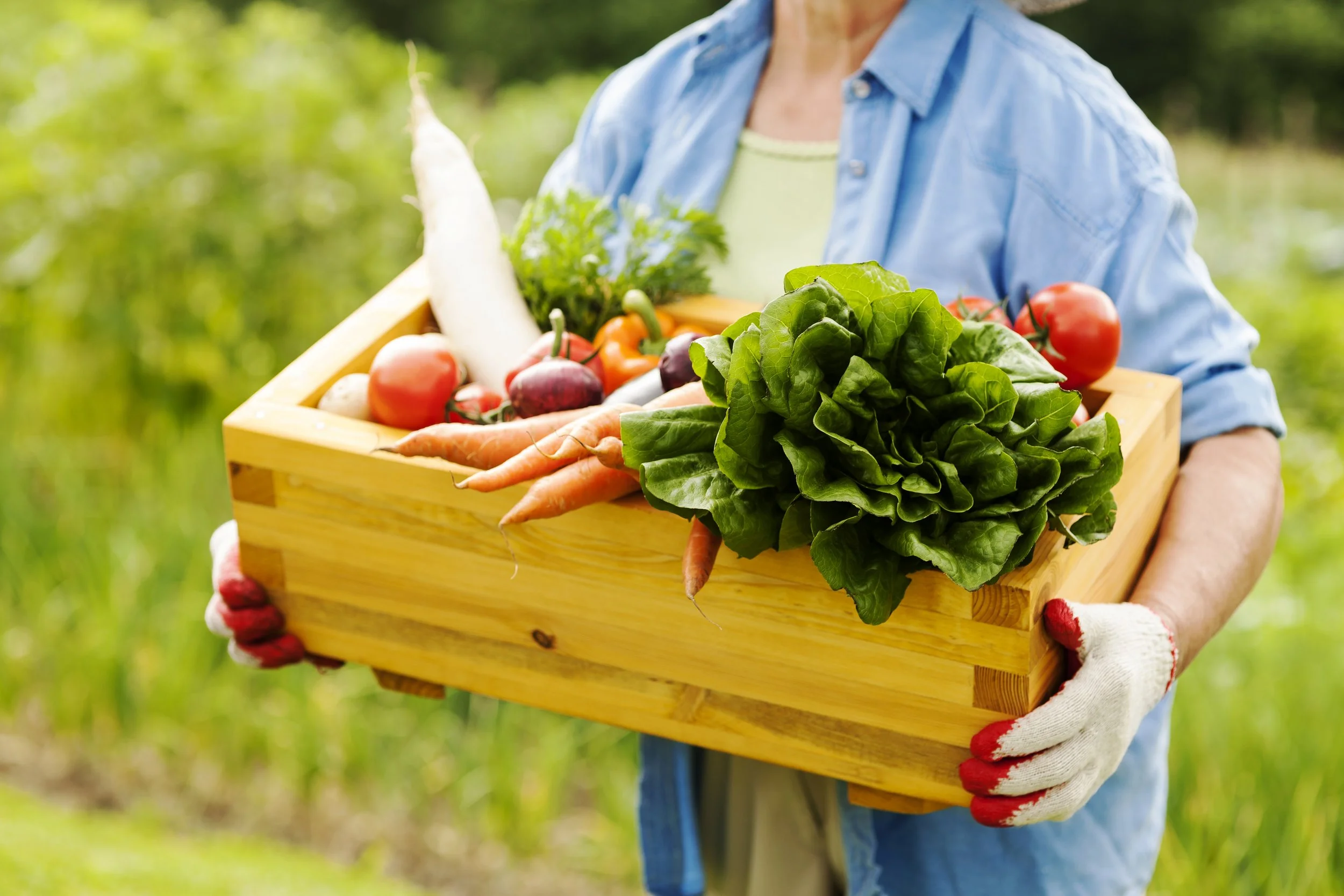 Línea de subvenciones para inversiones en transformación, comercialización y desarrollo de productos agrícolas