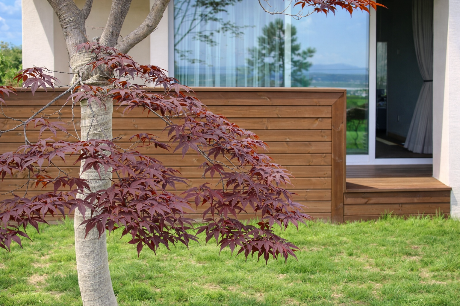 ChatGPT Image Feb 11, 2026, 01_47_44 PM.png