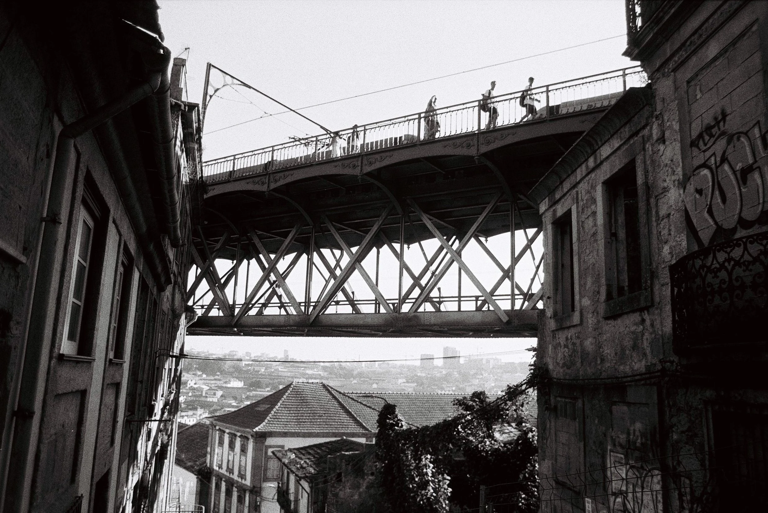 132810_032 copia.JPG