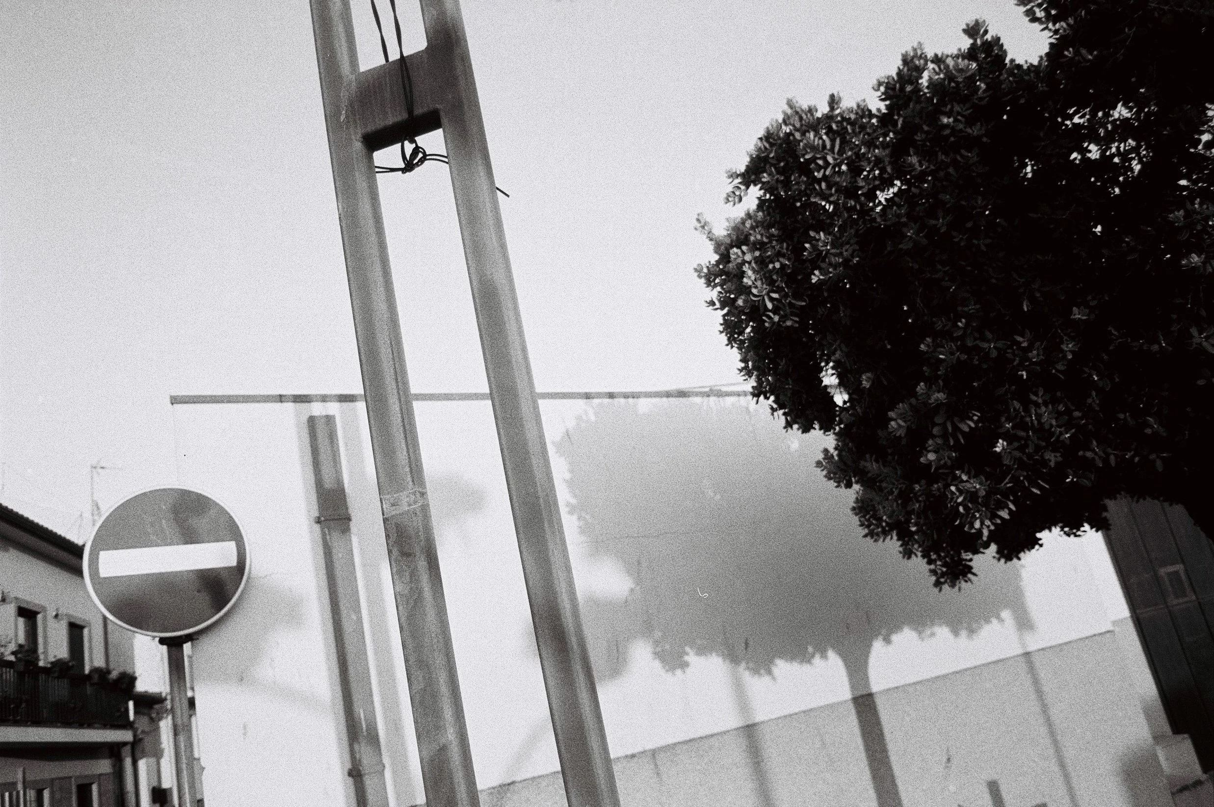 132810_022 copia.JPG