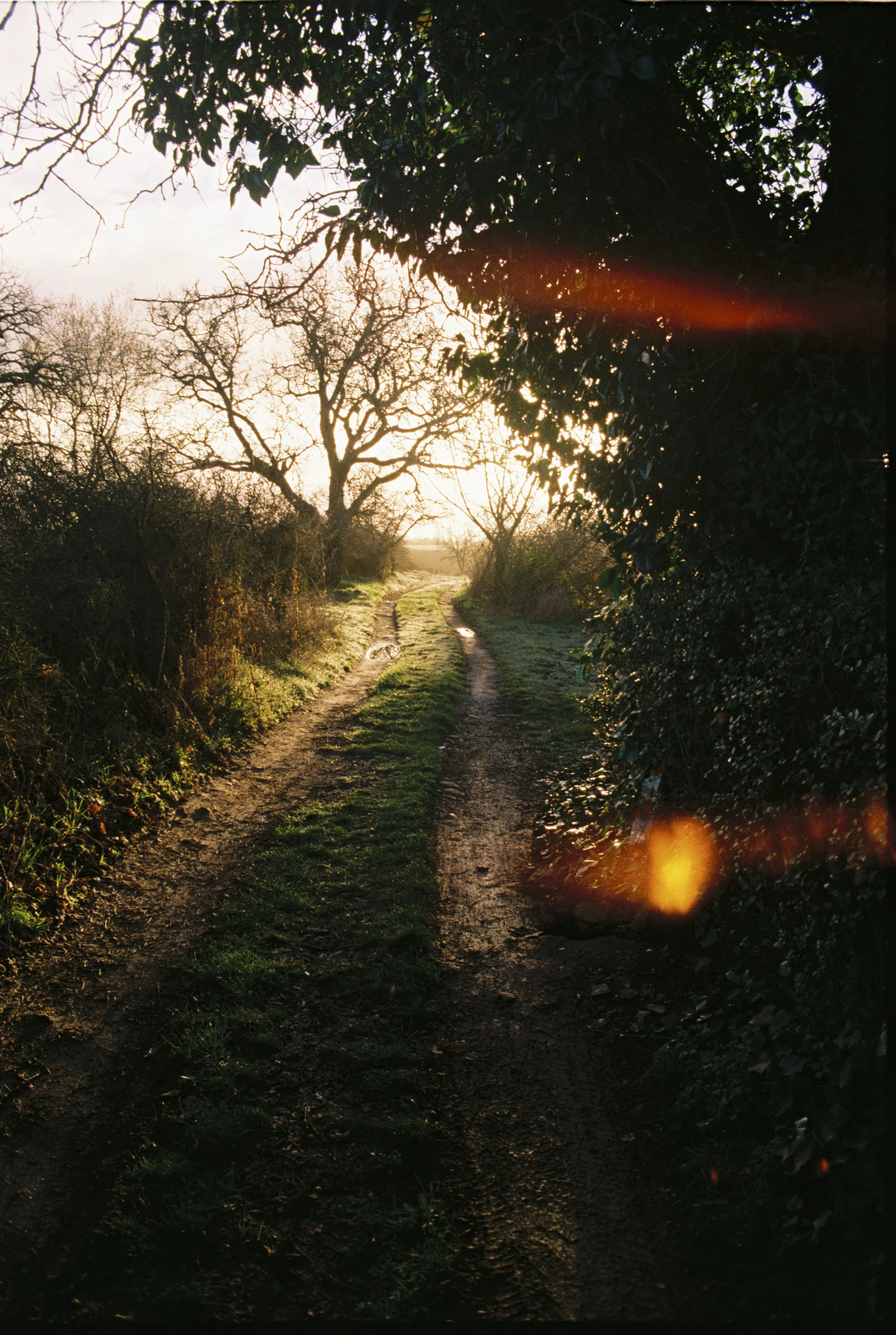 22218-1-scan-01 copia.jpg