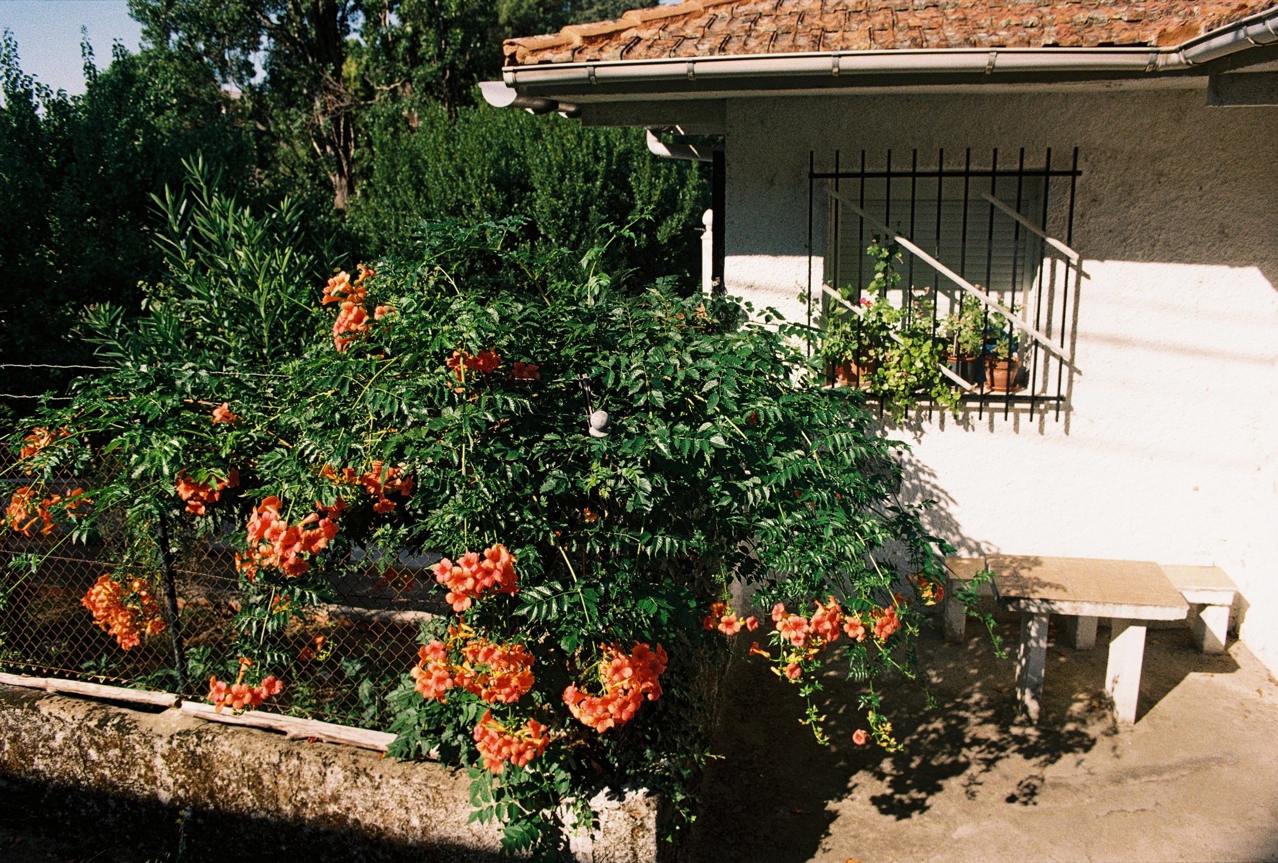 114509_006 copia.JPG