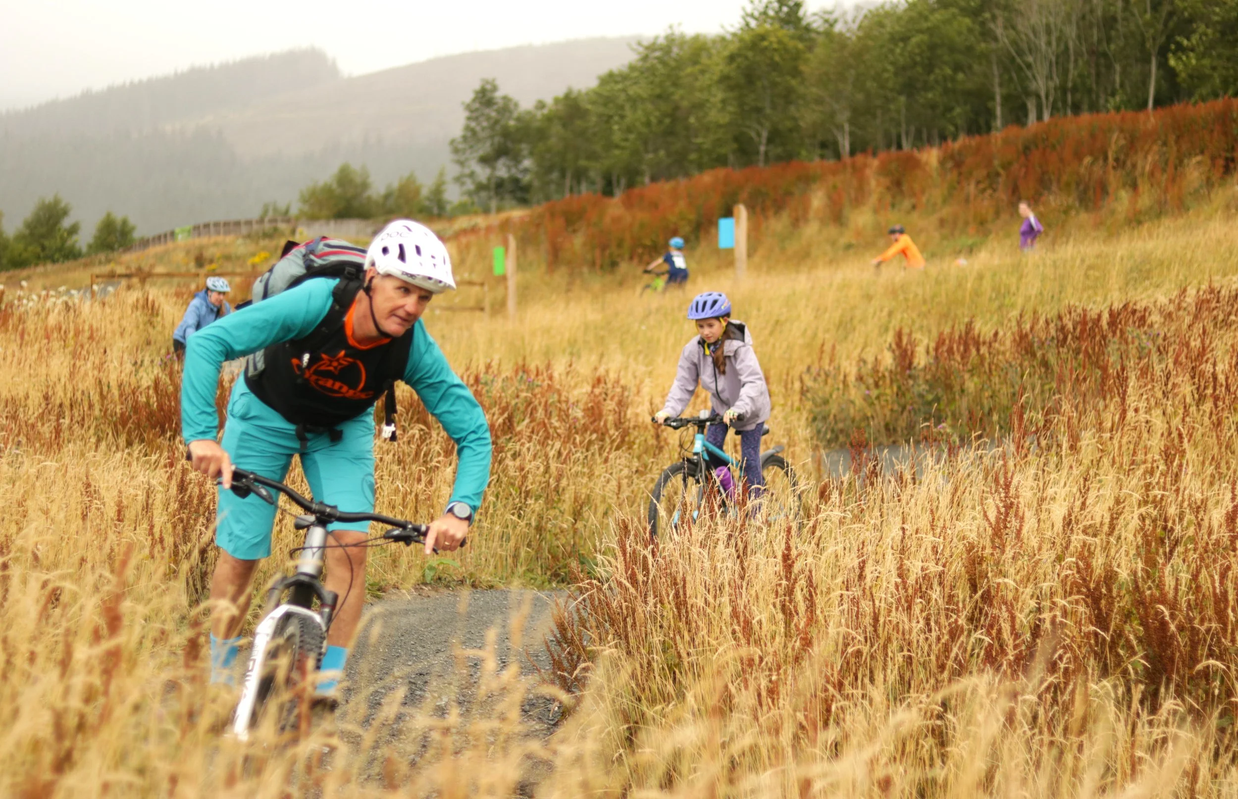 People biking on a trail through tall grass with trees and misty mountains in the background.