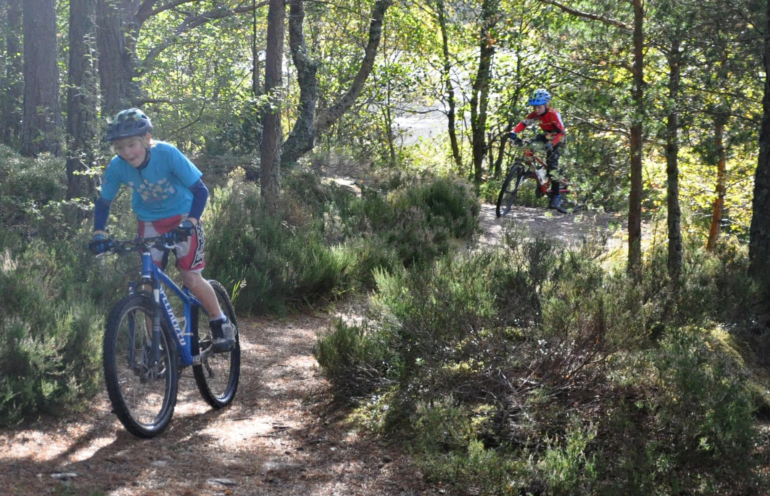Two children mountain biking through a wooded trail surrounded by trees and bushes, wearing helmets and protective gear.