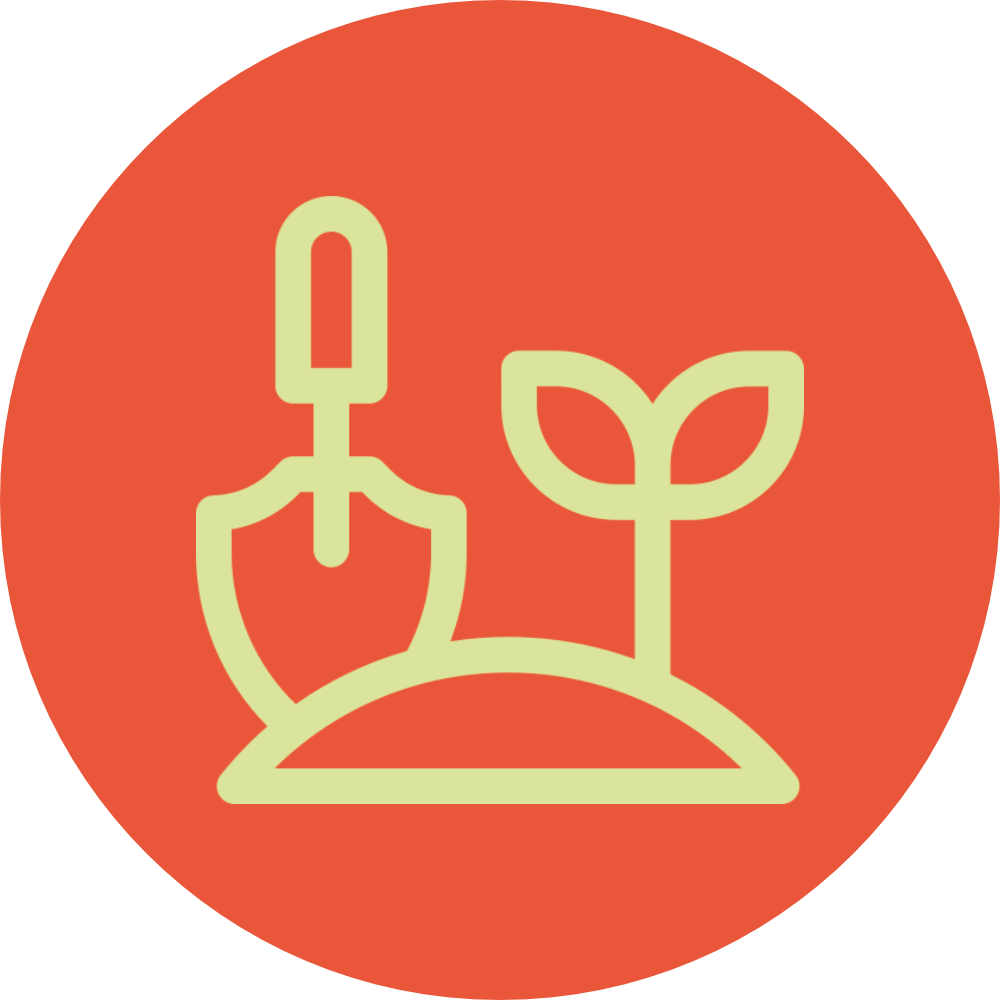 Pflanzungen Pflanzen Sträucher Bäume Hecken Rasen