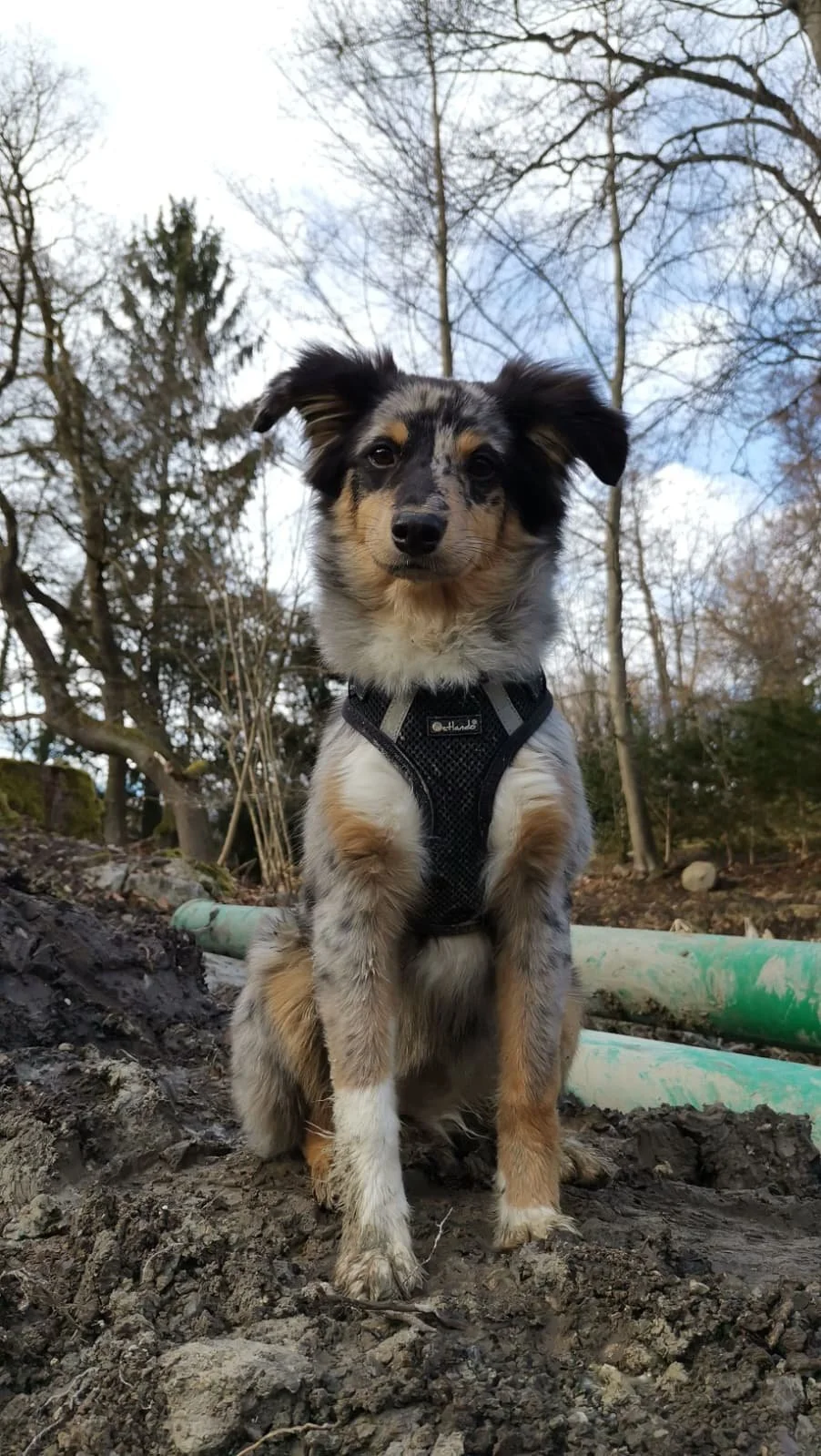 Nami Walter Gartengestaltung Gartenabu