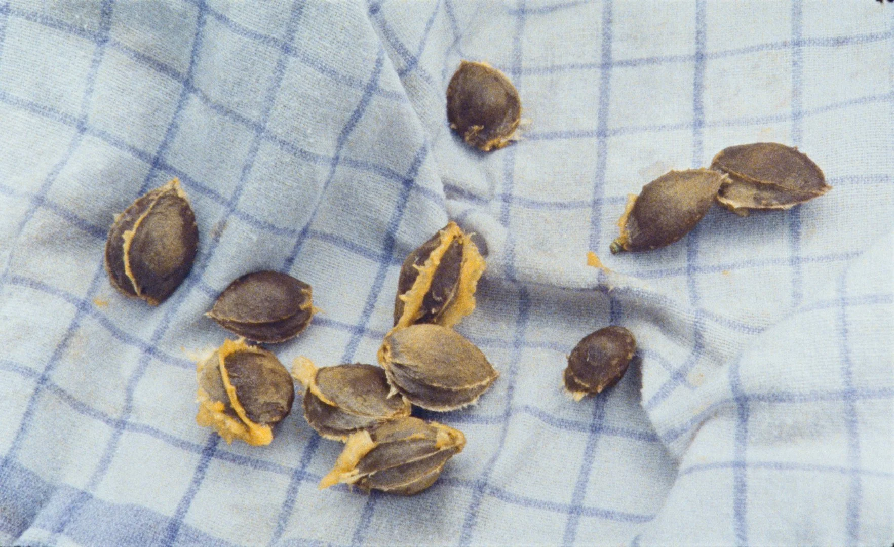 Attention All Passengers (2020)