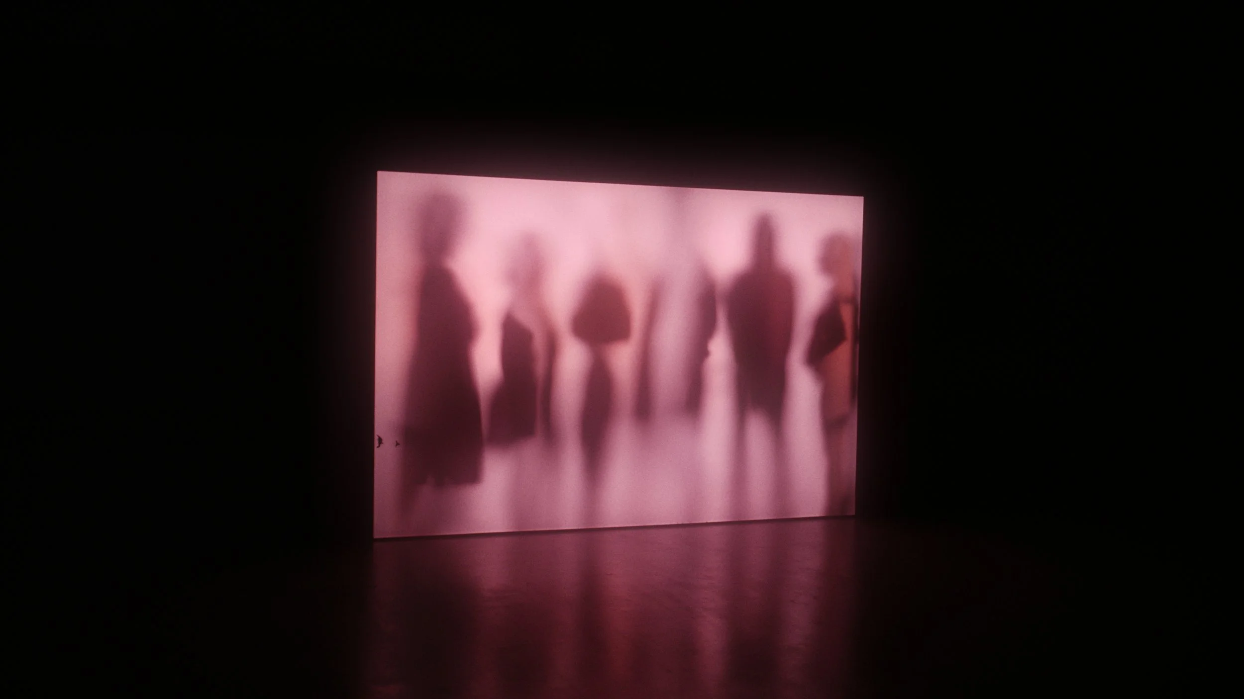 Untitled_1.13.1 2.jpg