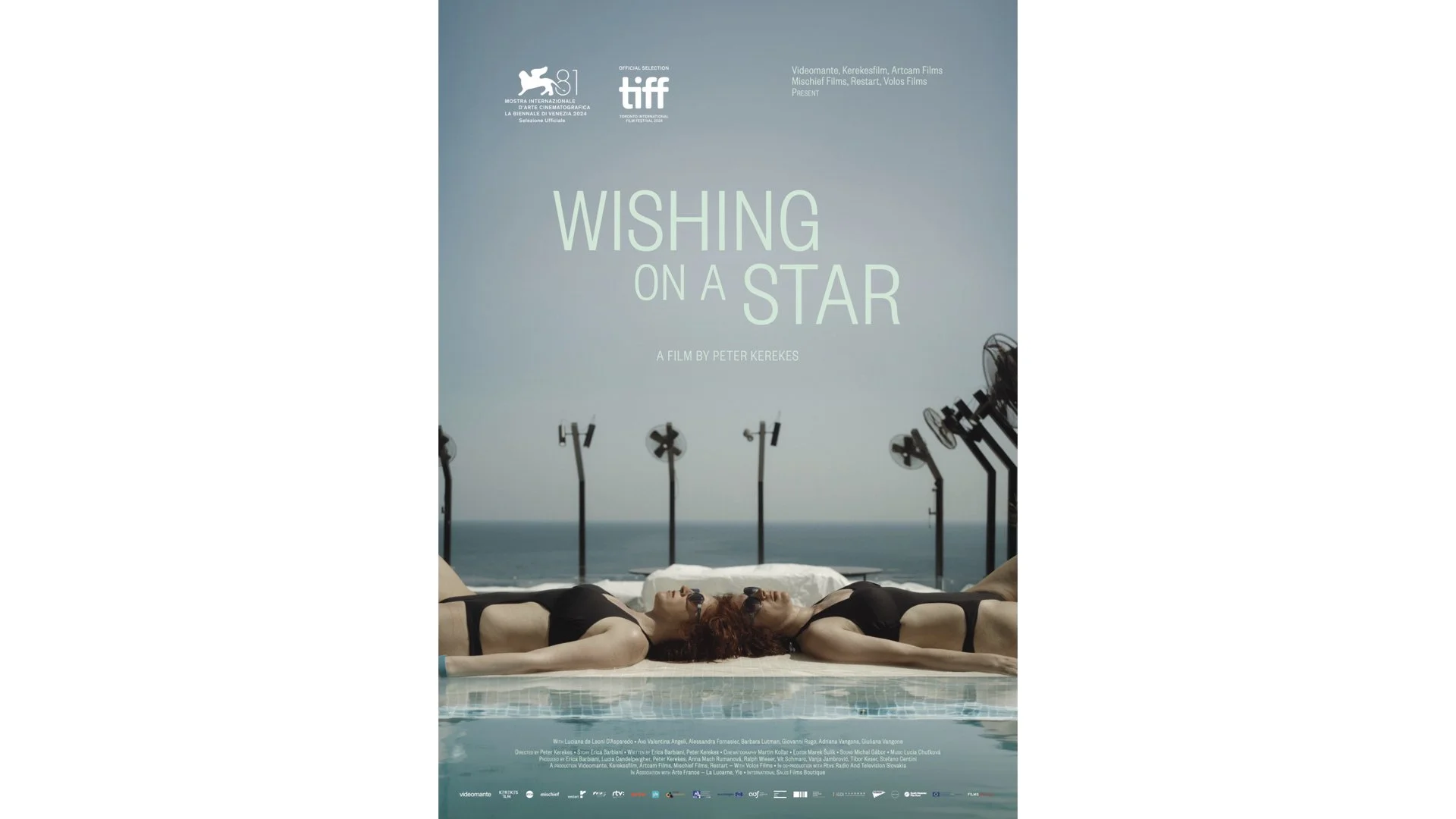 Wishing on a Star (2024)