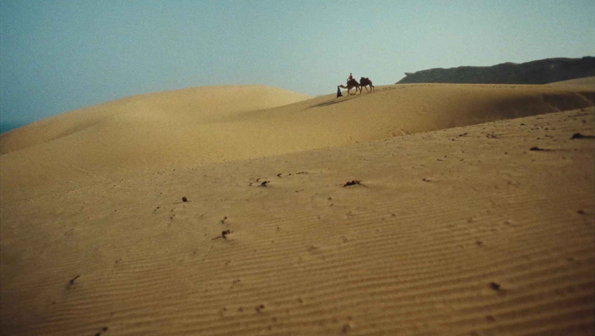 Still 2025-10-20 133806_1.1.16.jpg