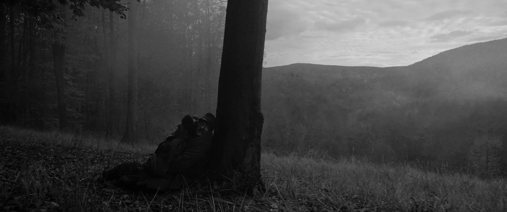 Still 2025-01-10 221411_1.3.1.jpg.jpg