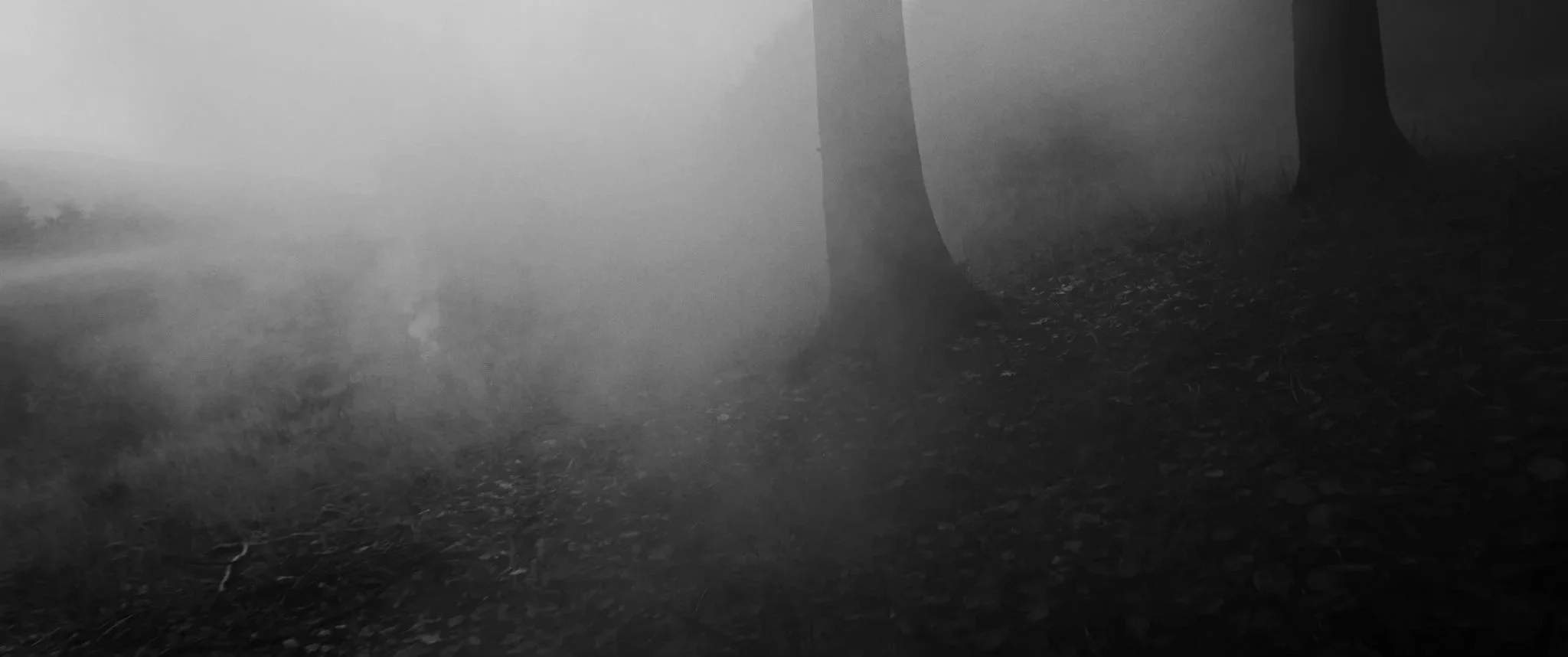 Still 2025-01-10 221411_1.3.6.jpg.jpg