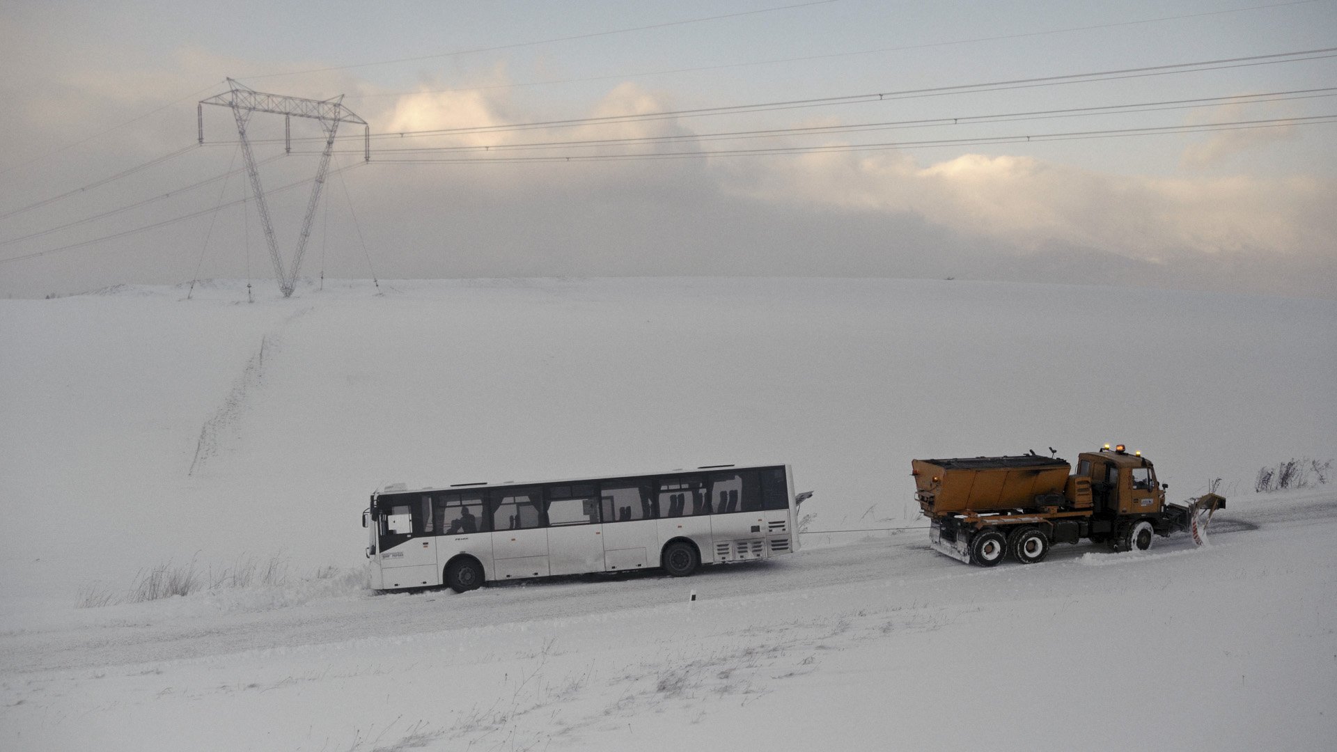 psStill 2025-02-02 224122_2.3 copy.jpg