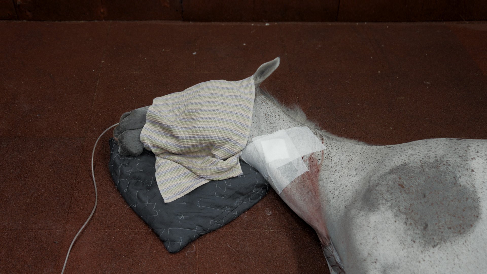 psStill 2025-02-02 224122_3.22 copy.jpg