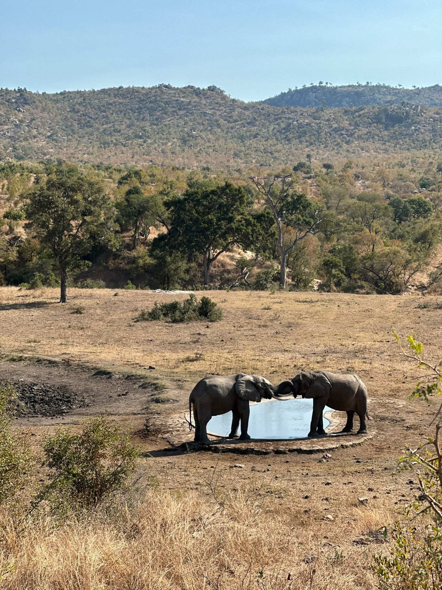 South Africa Retreat “Coming home - i am” (eng)