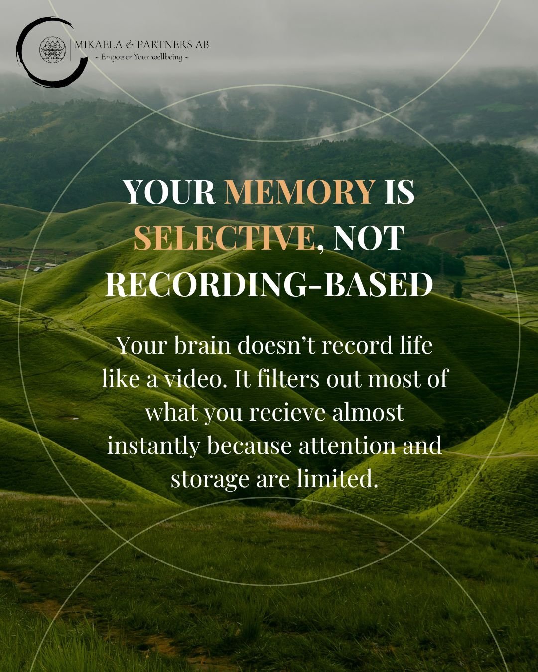 What do you know about memories and how we store our feelings? Have you thought about how we create our reality we are living in?

Think about it&hellip; what emotions have strongest effect on you? These are the ones you selectively store a bit deepe