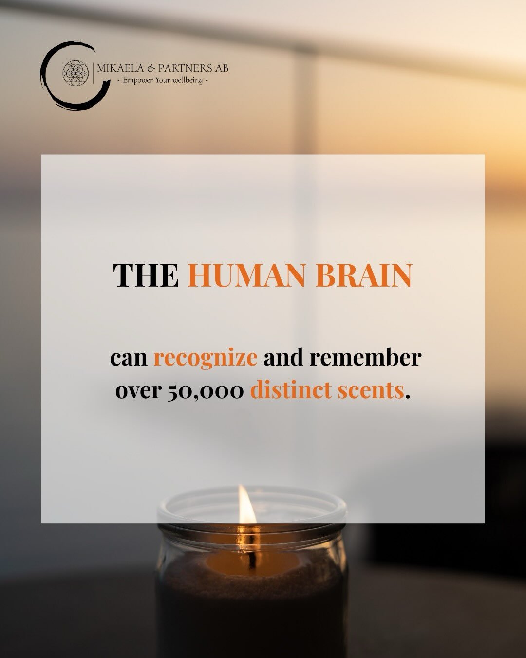 Have you ever noticed that the way you act is often a direct reflection of your inner emotions? A clear mind and a better understanding of yourself can help you manage your emotions in a more balanced and relaxed way.
 Mental wellbeing starts from wi