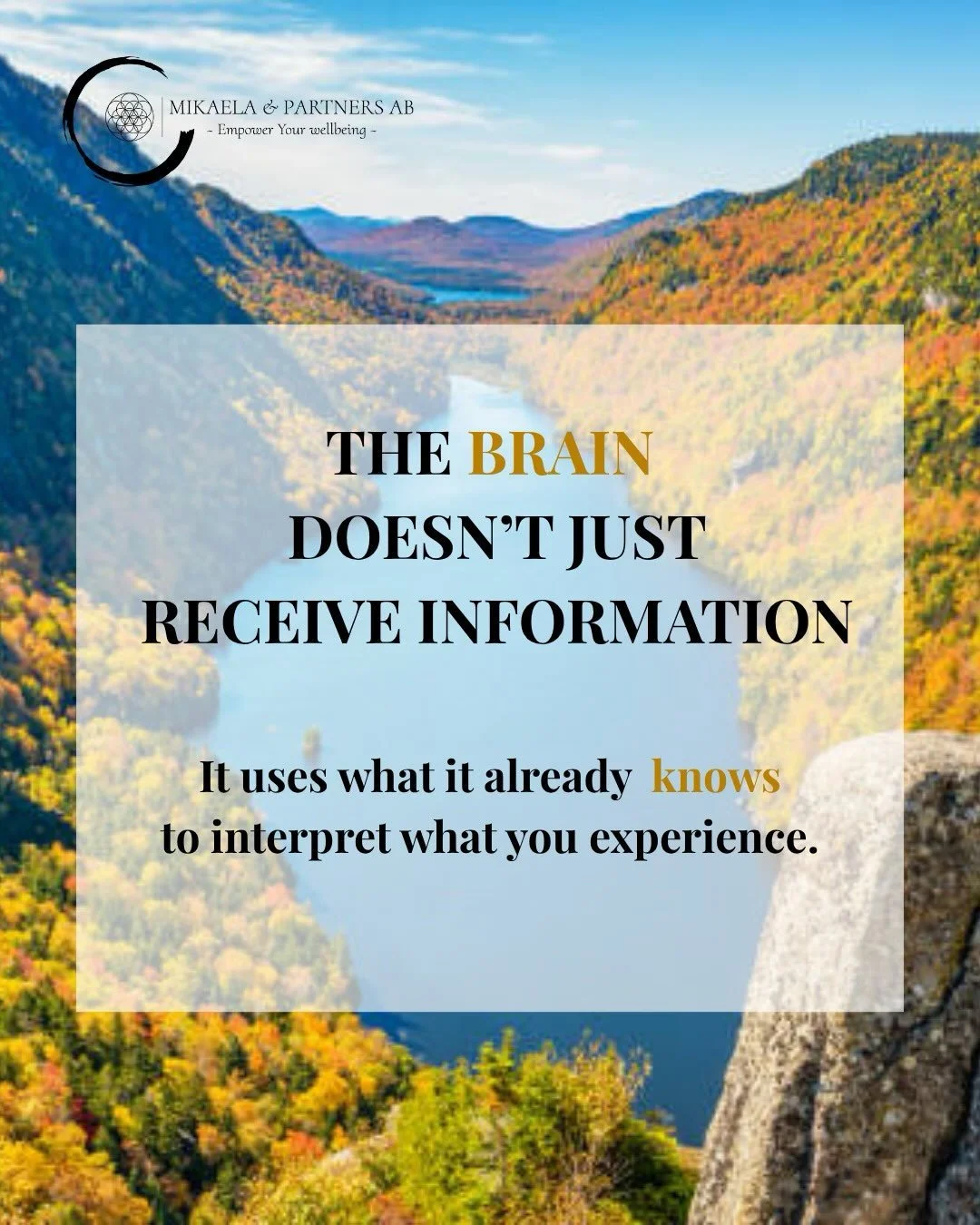 Your brain doesn&rsquo;t simply receive information, it interprets it. 🧠✨
What we perceive can be shaped by past experiences, expectations, and what our brain already knows.
This means that what feels obvious in the moment may not always be the full